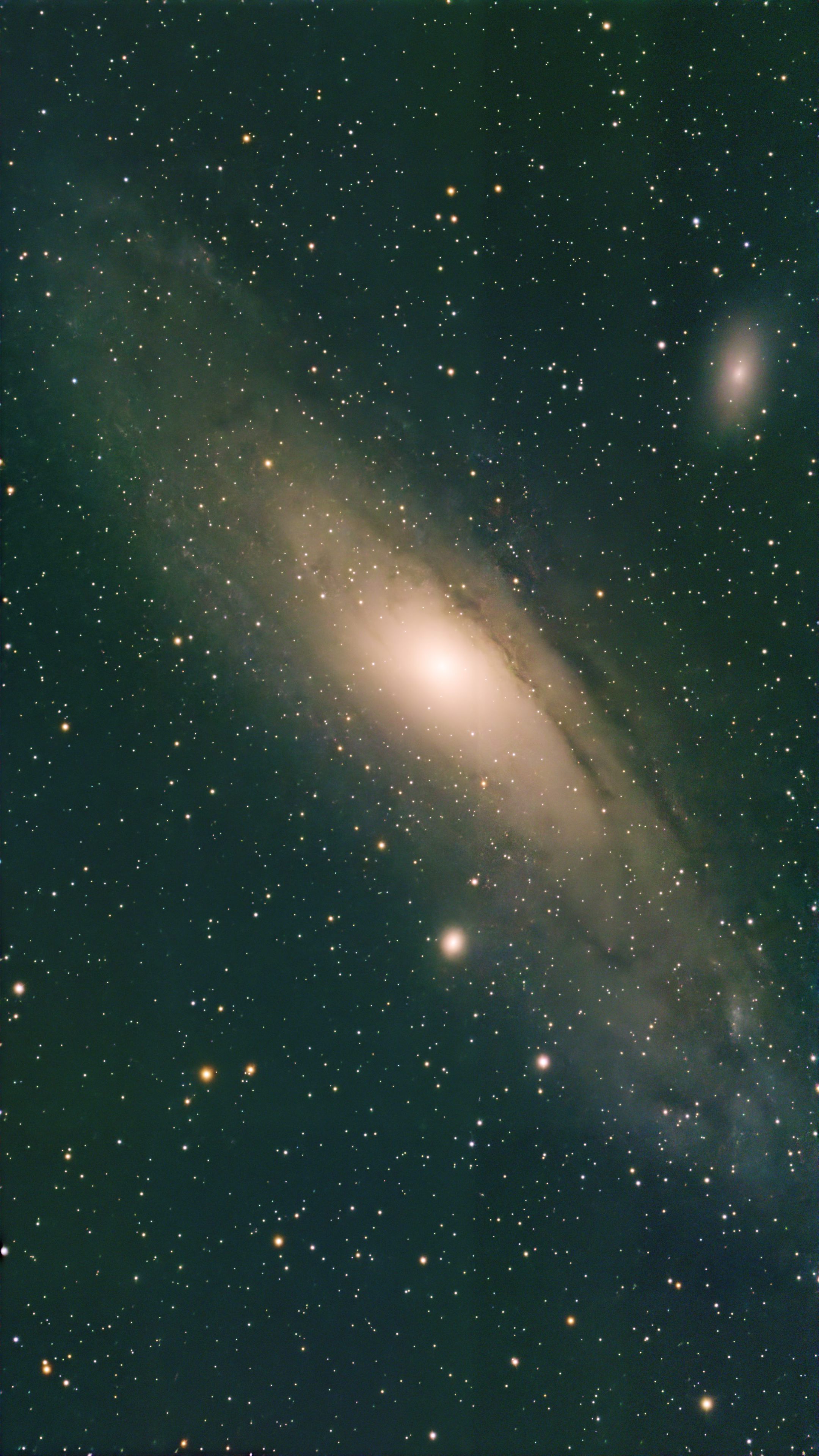 M11