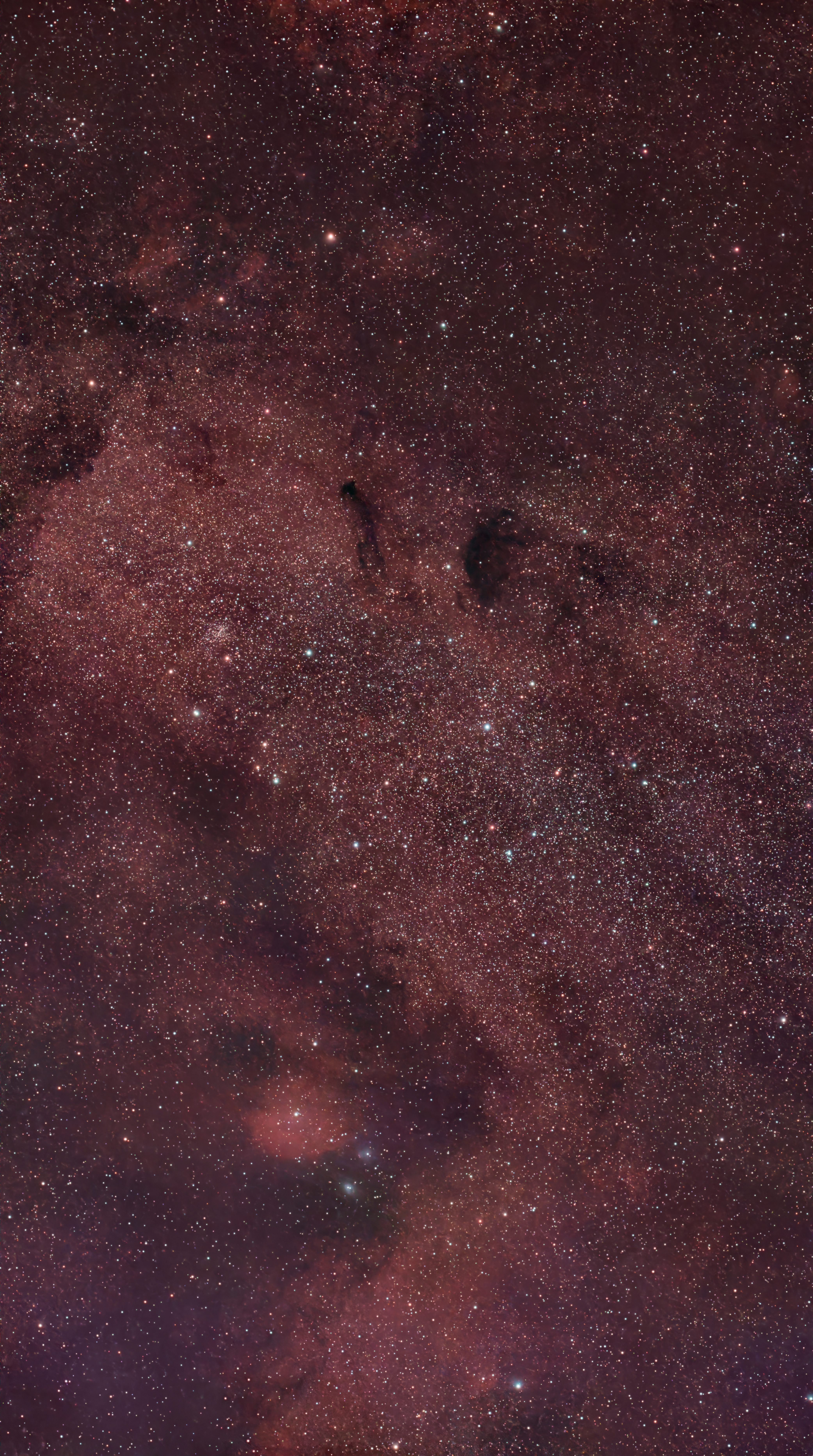M24 (Sagittarius Star Cloud)
