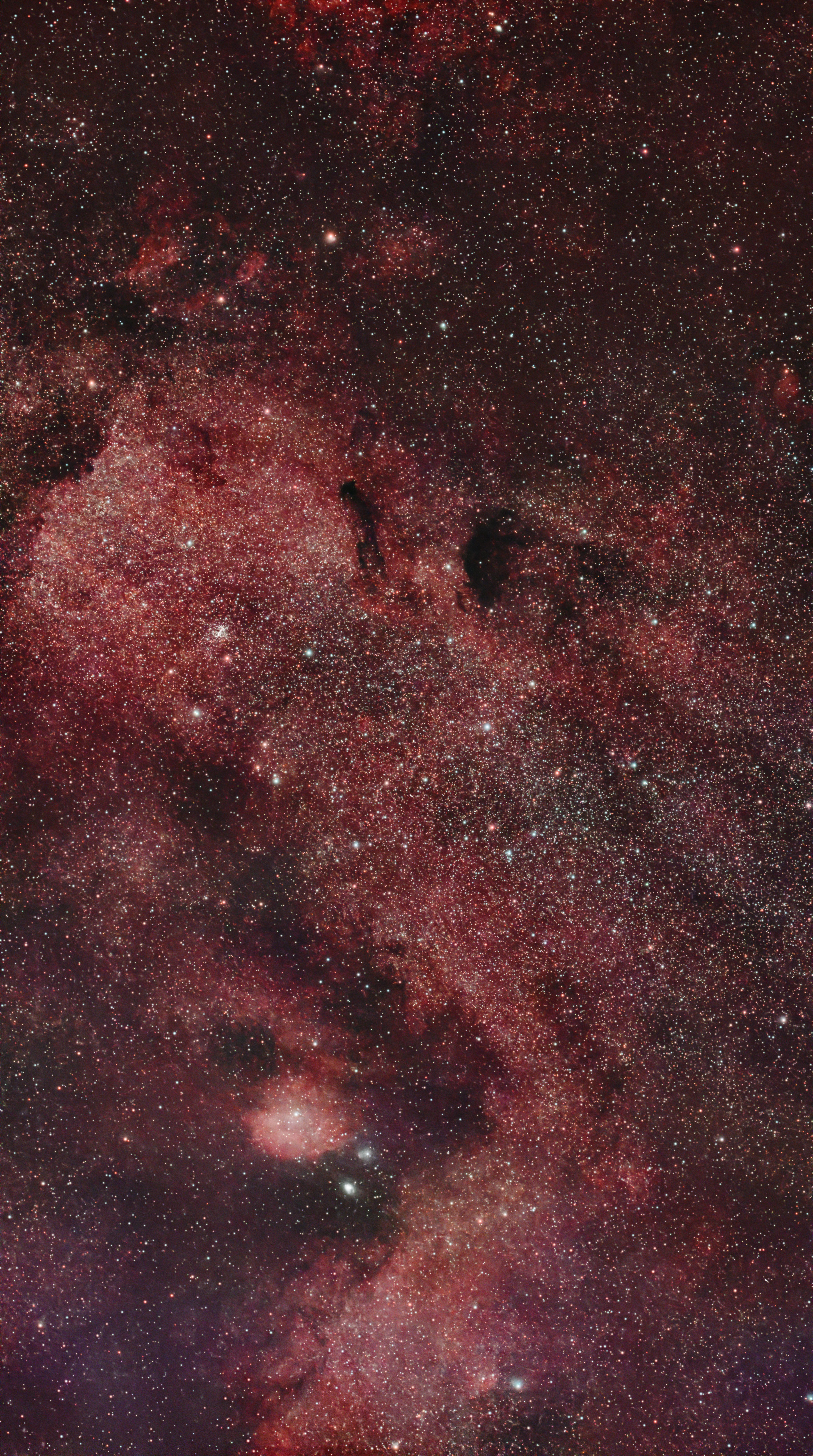 M24 (Sagittarius Star Cloud)