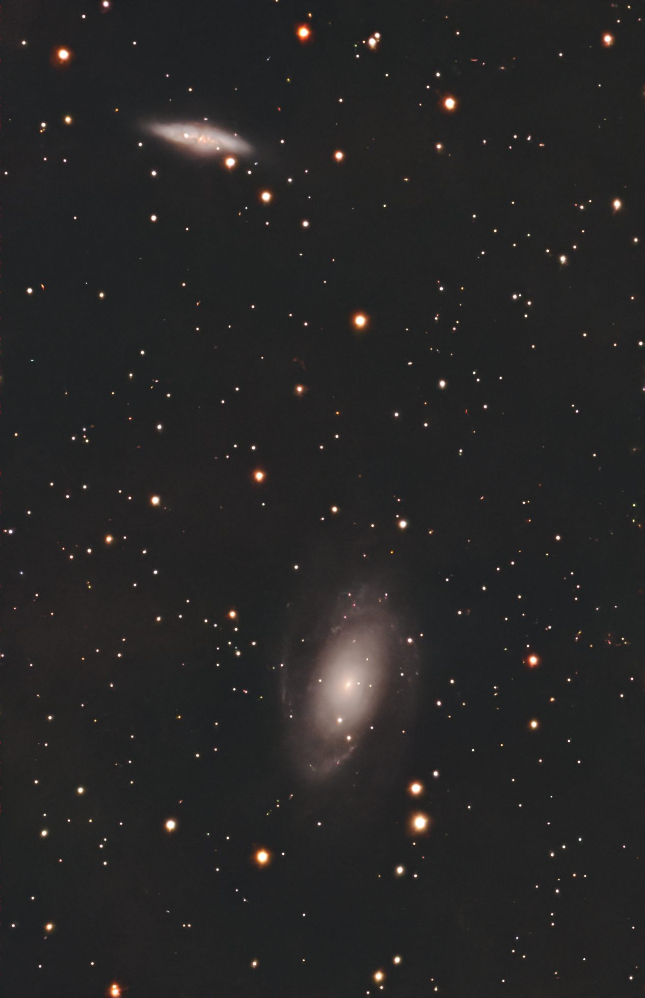 M81 (Bode's Galaxy)