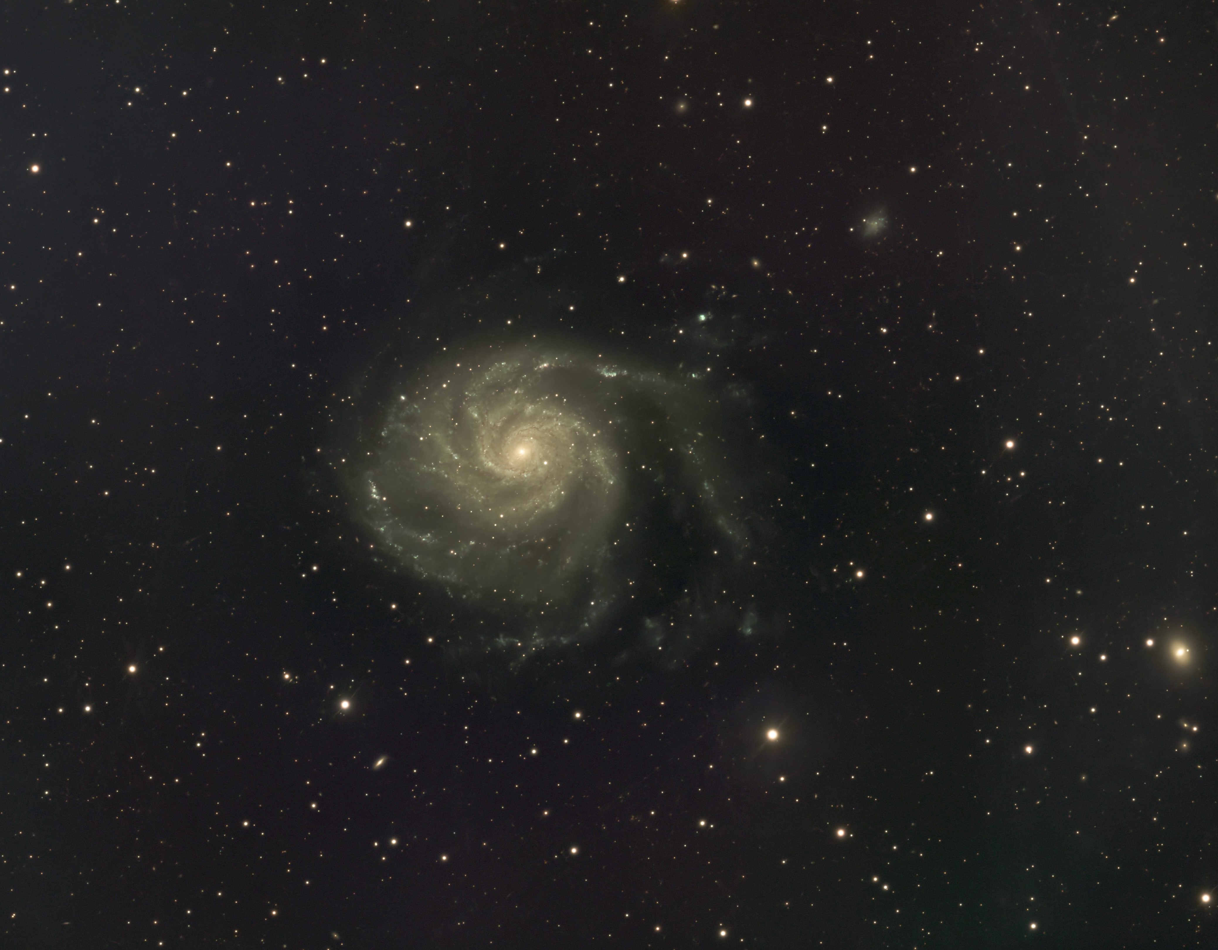 M101