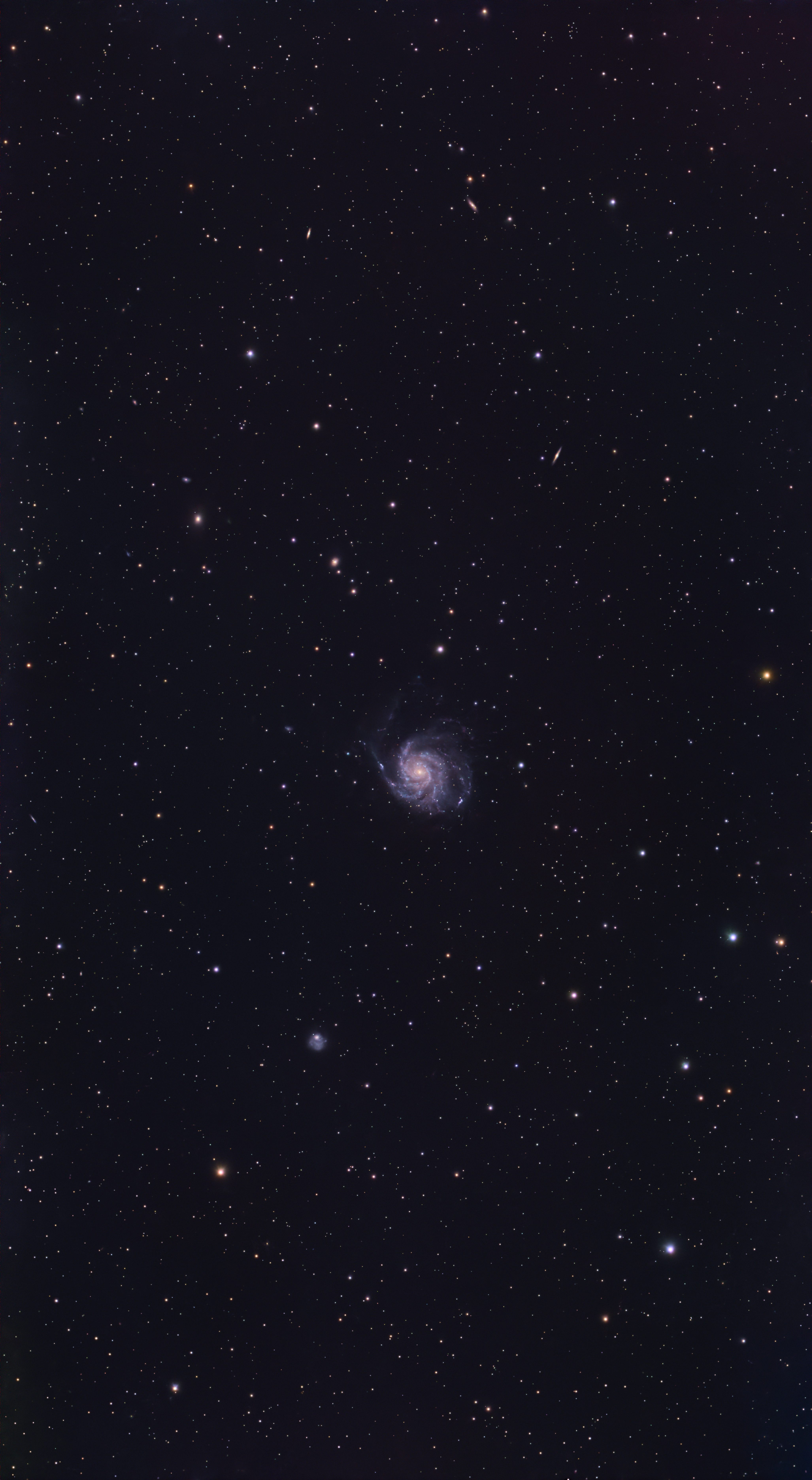 M101