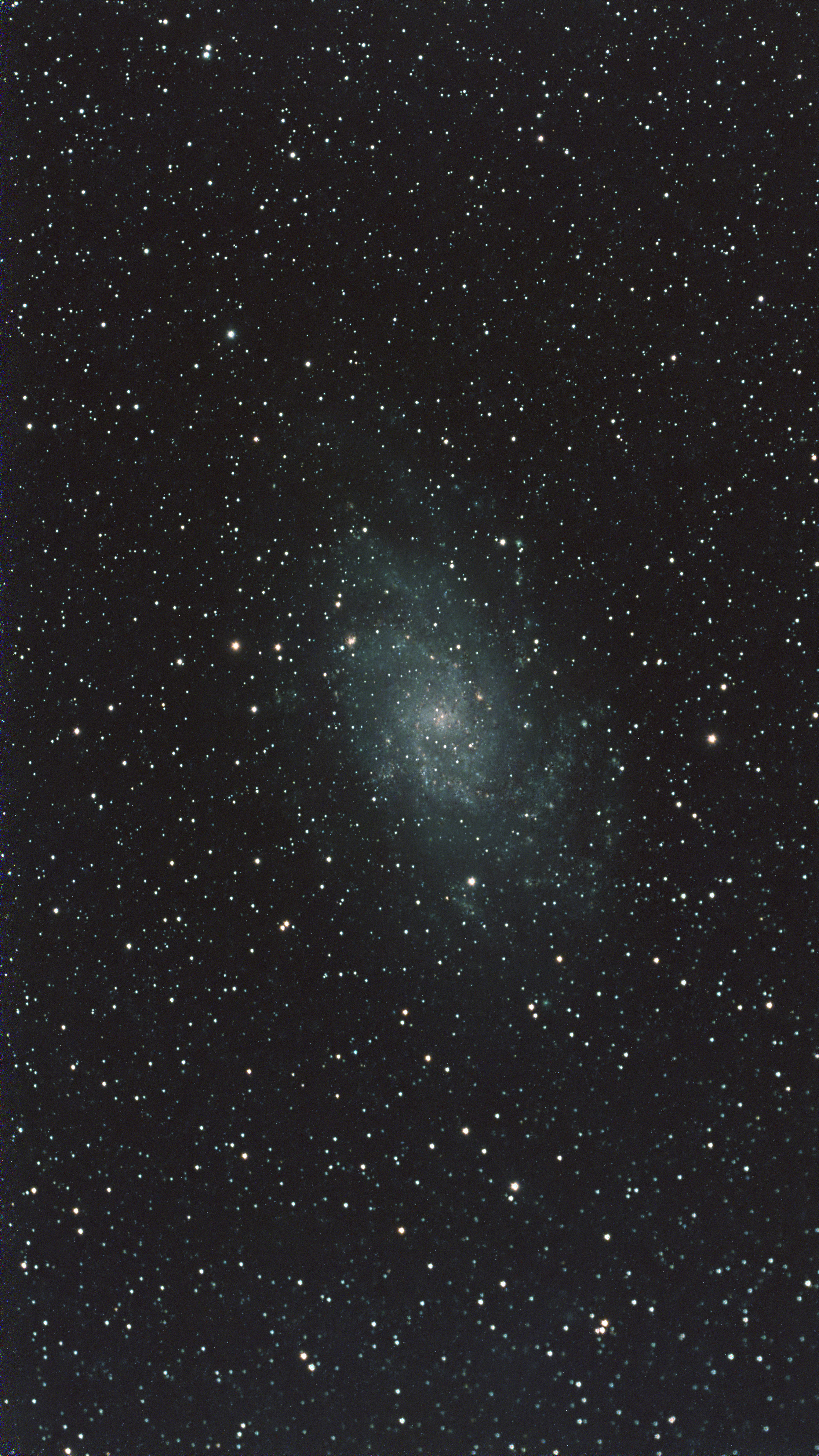 M33