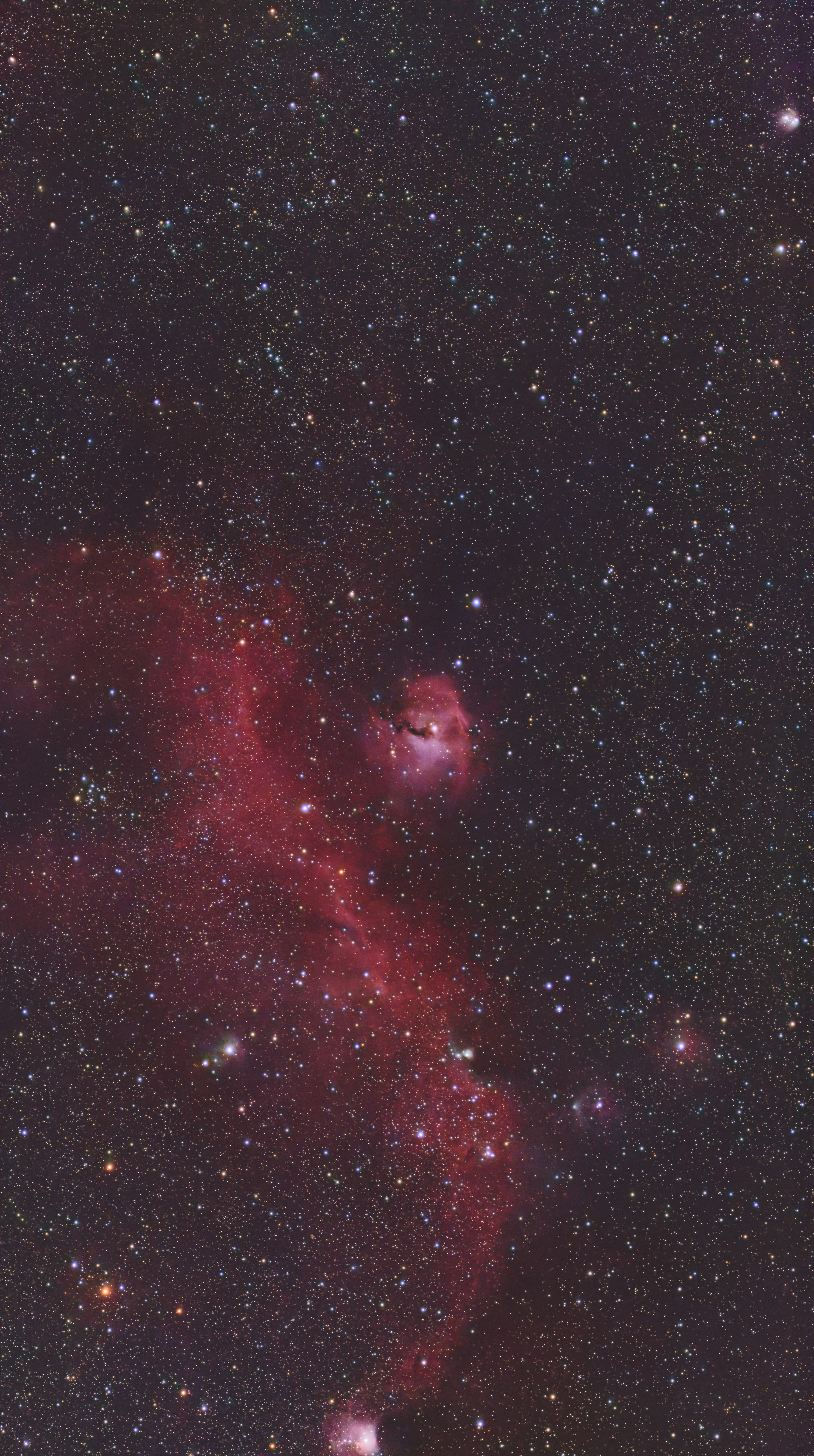 IC 2177 / NGC 2335 (Seagull Nebula)