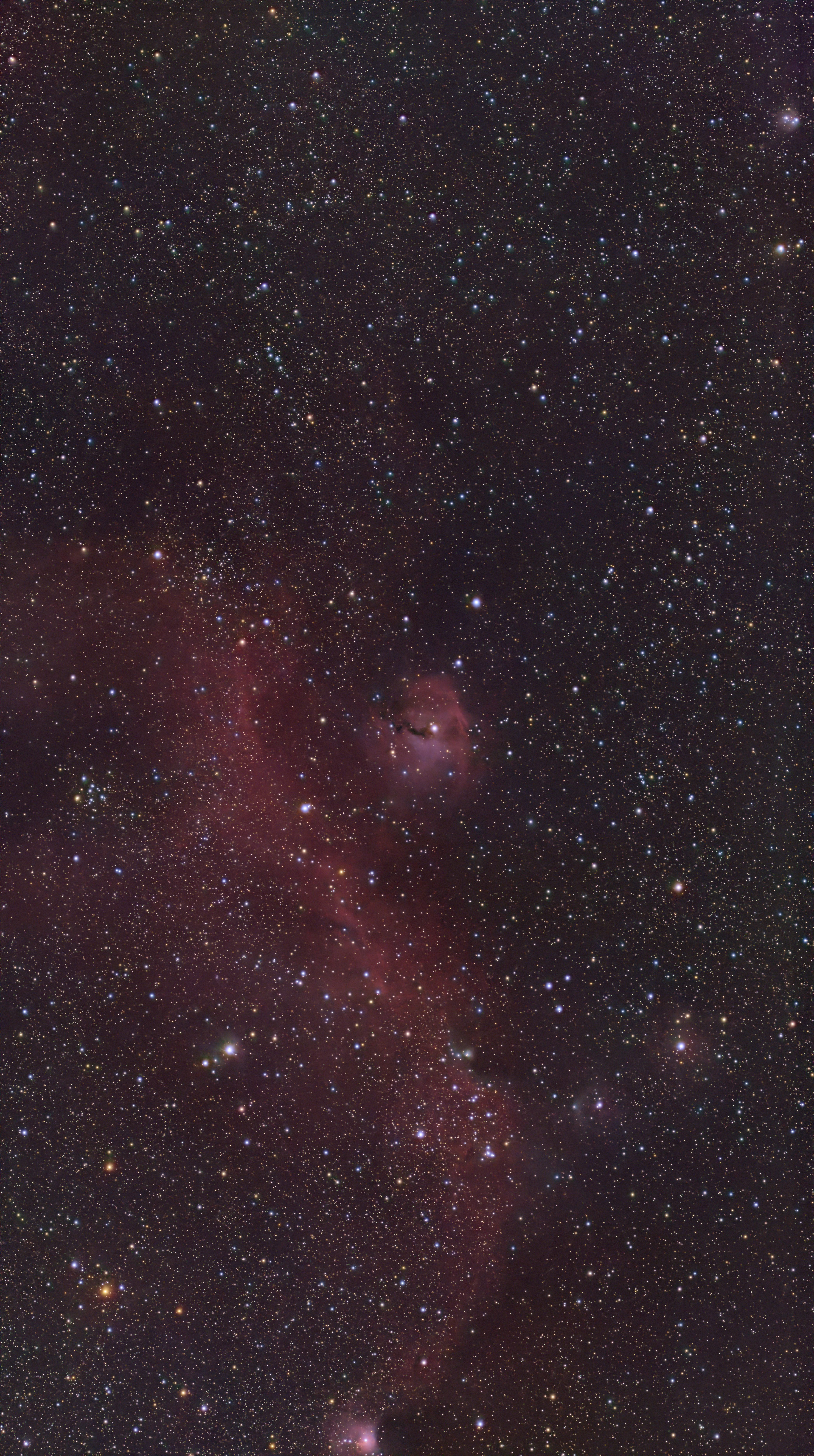 IC 2177 / NGC 2335 (Seagull Nebula)