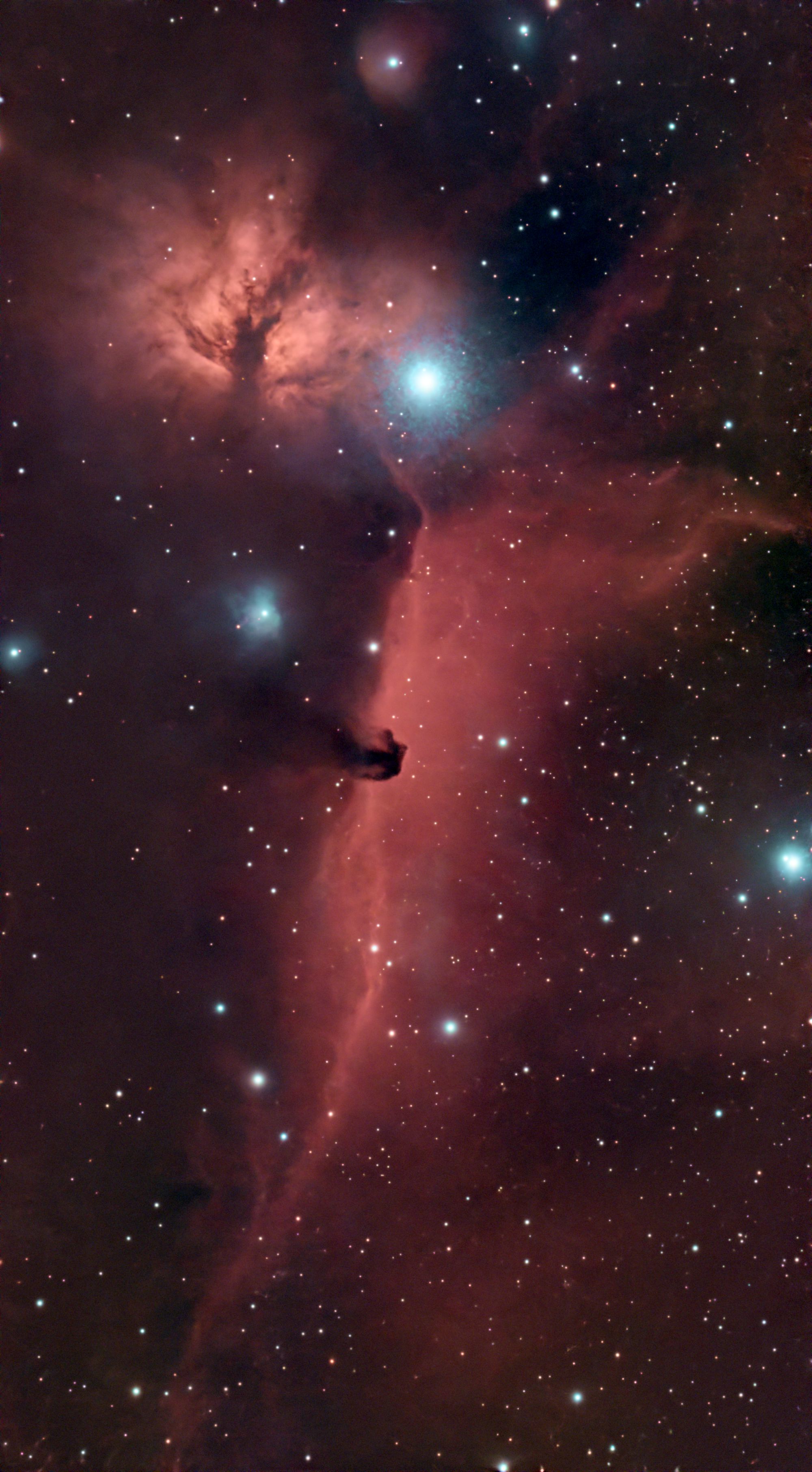 IC 434 (Horsehead Nebula)