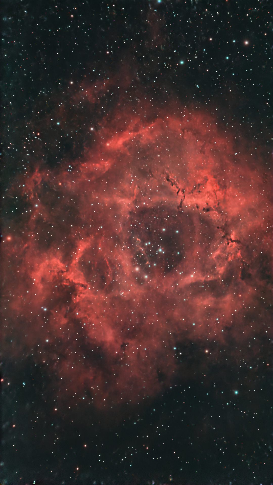 NGC 2244 (Rosette Nebula)