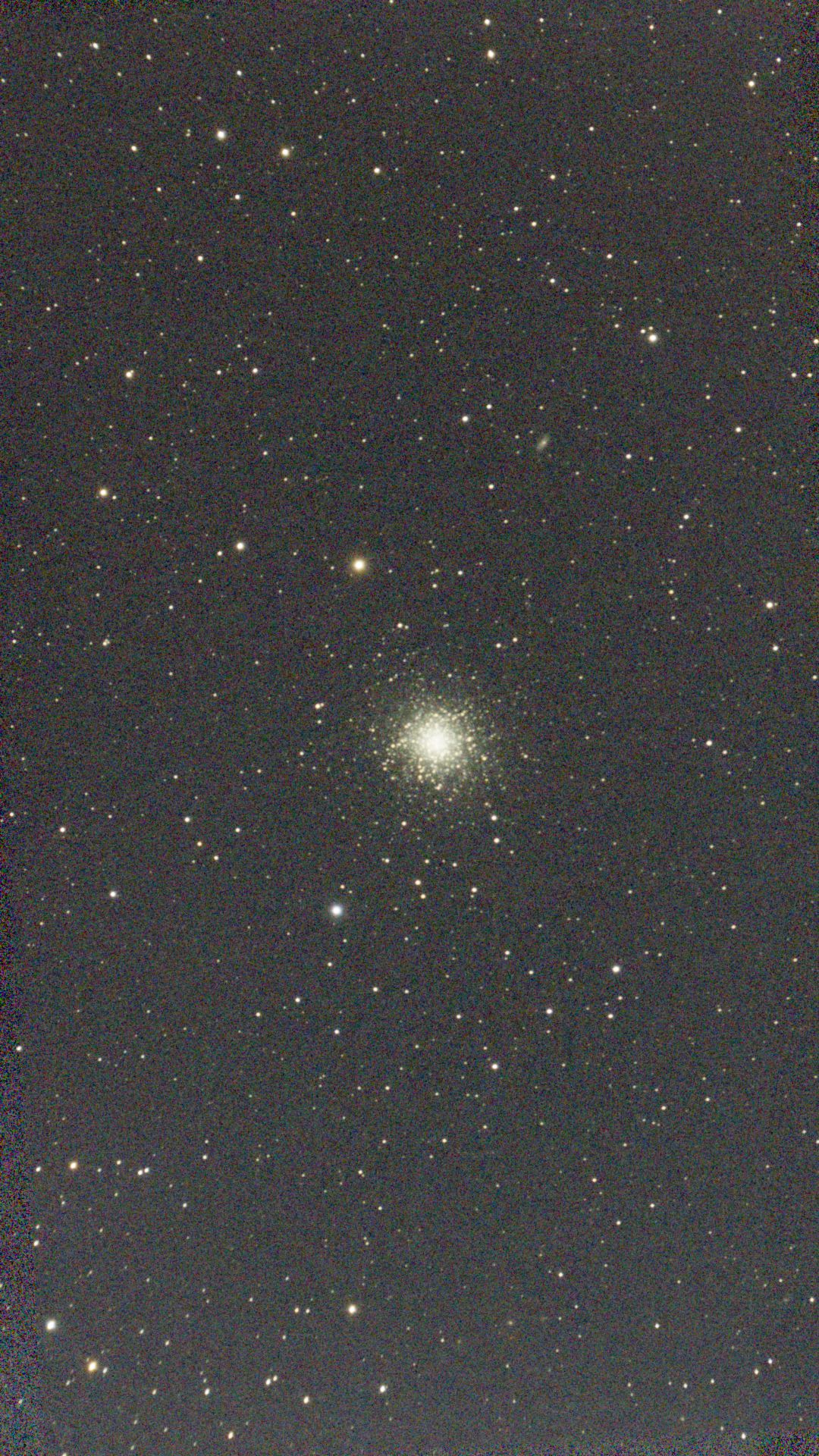 M13