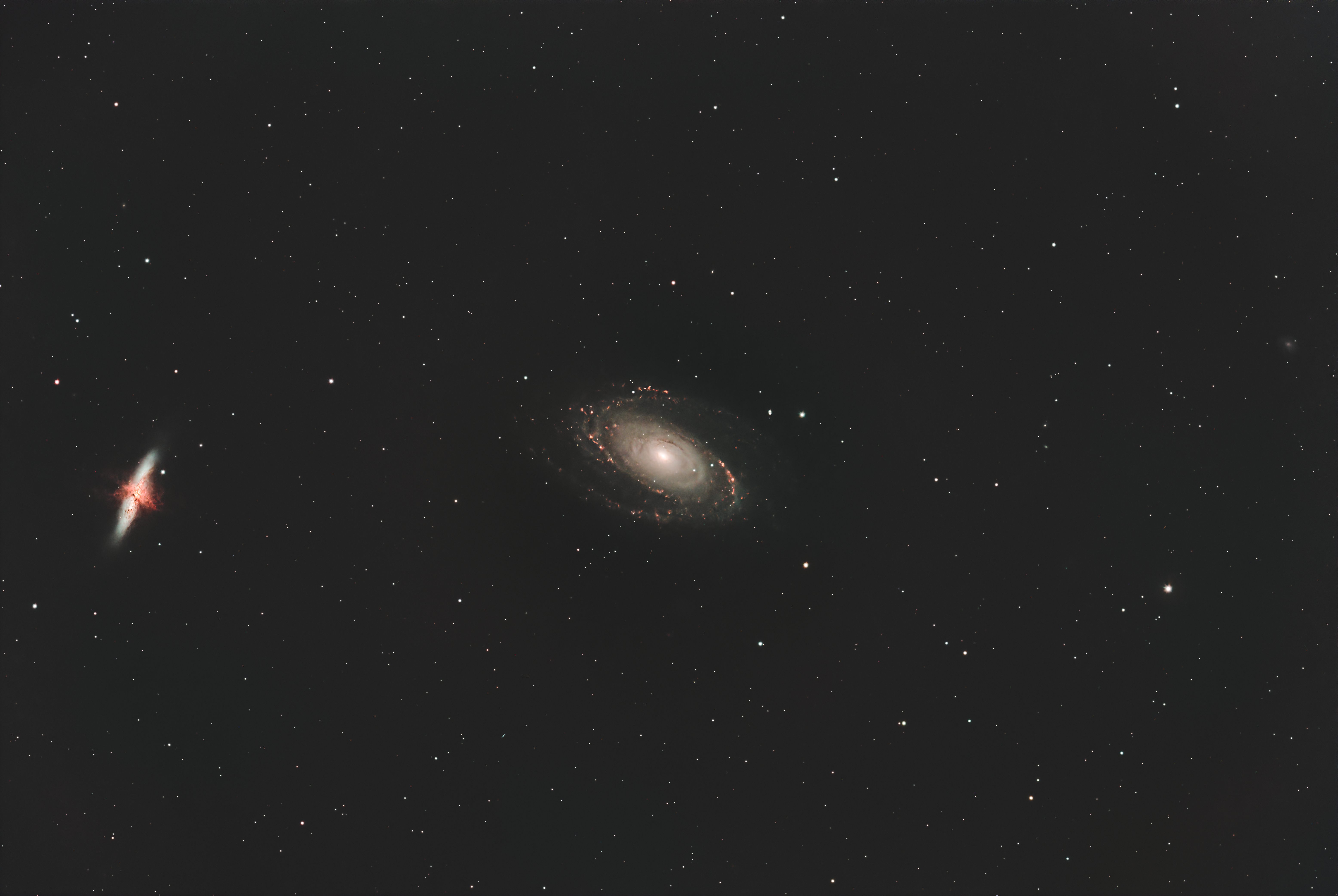 M81