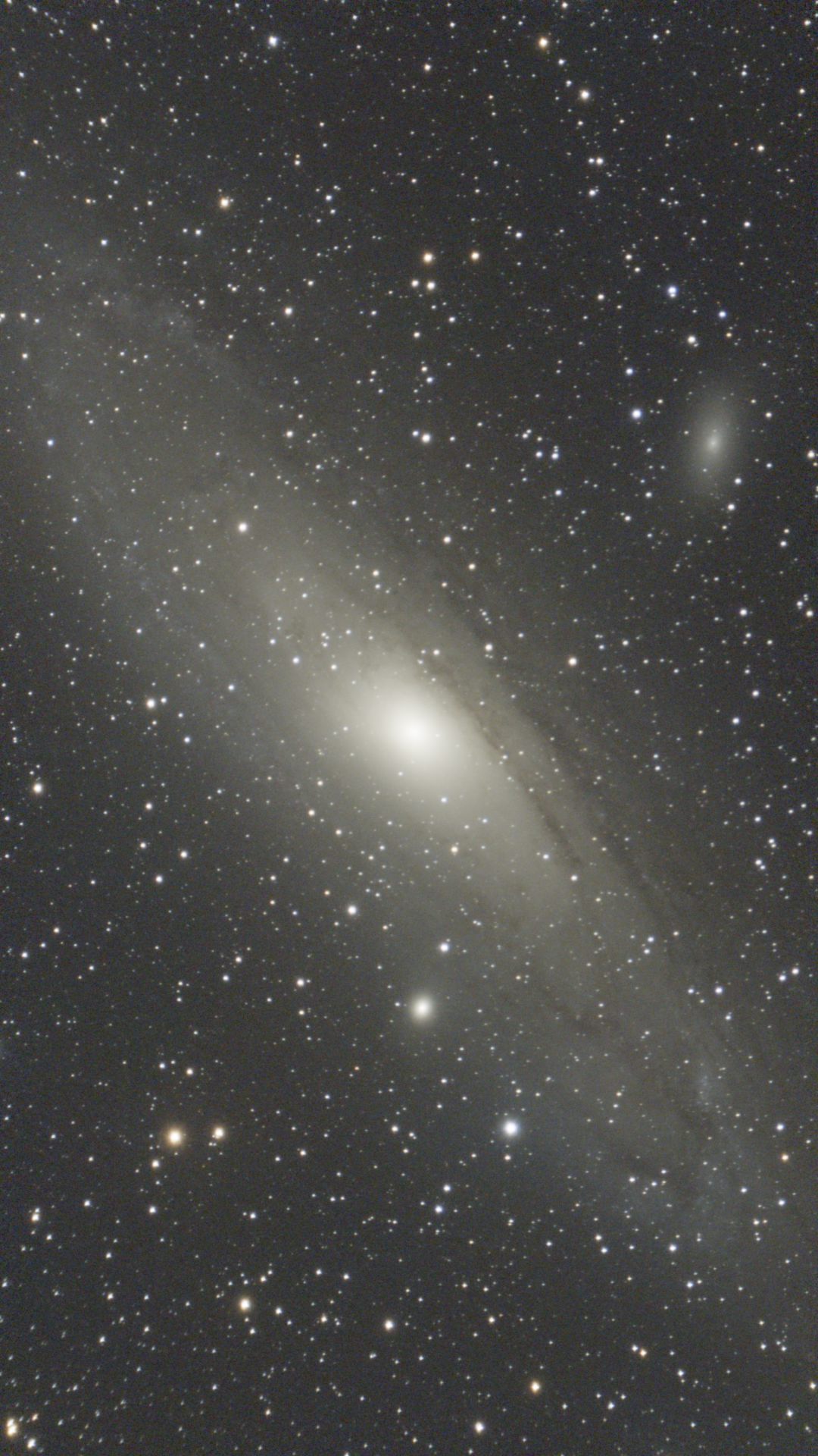 M31