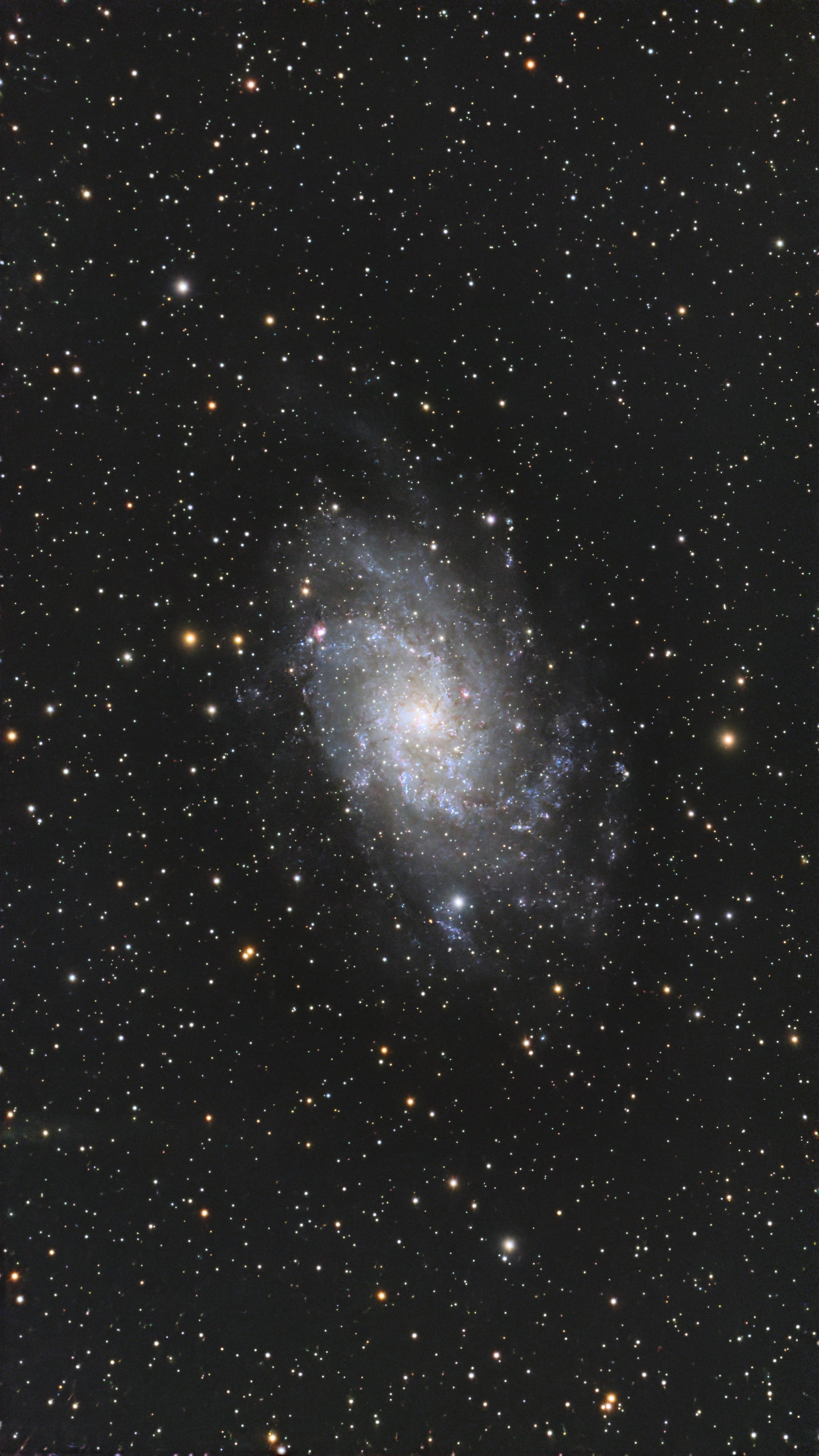 M33 (Triangulum Galaxy)
