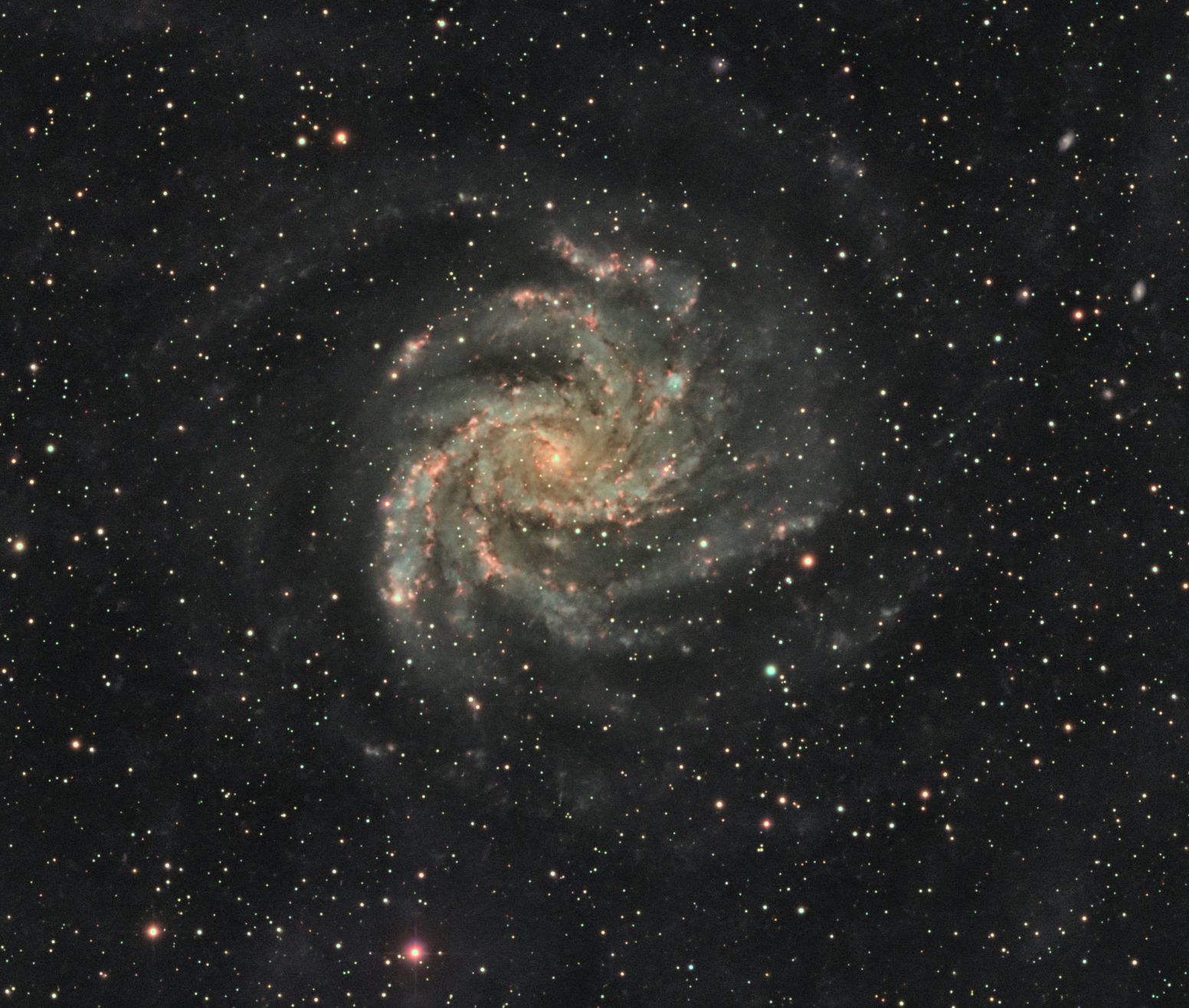 NGC 6946 (Fireworks Galaxy)