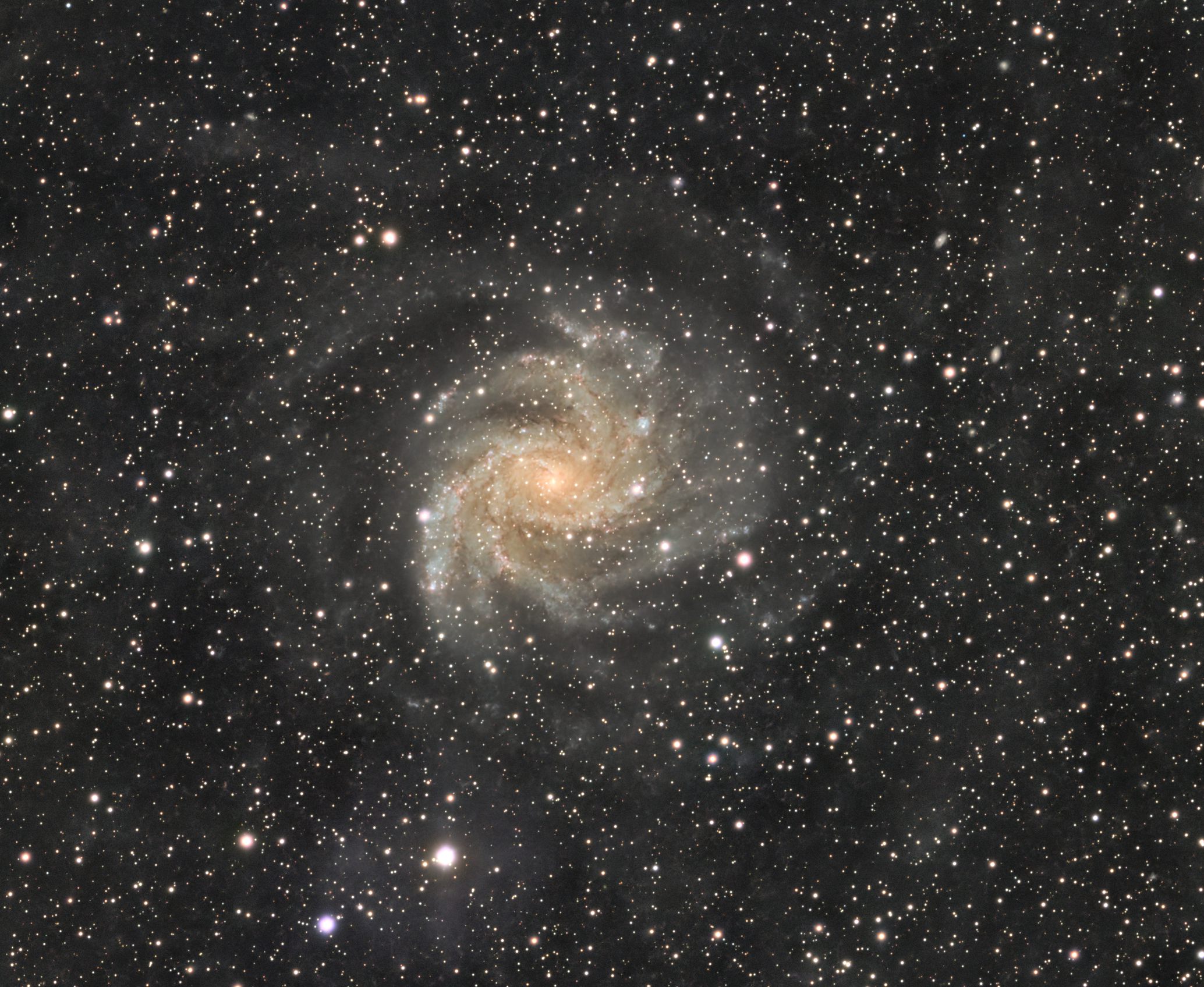 NGC 6946 (Fireworks Galaxy)