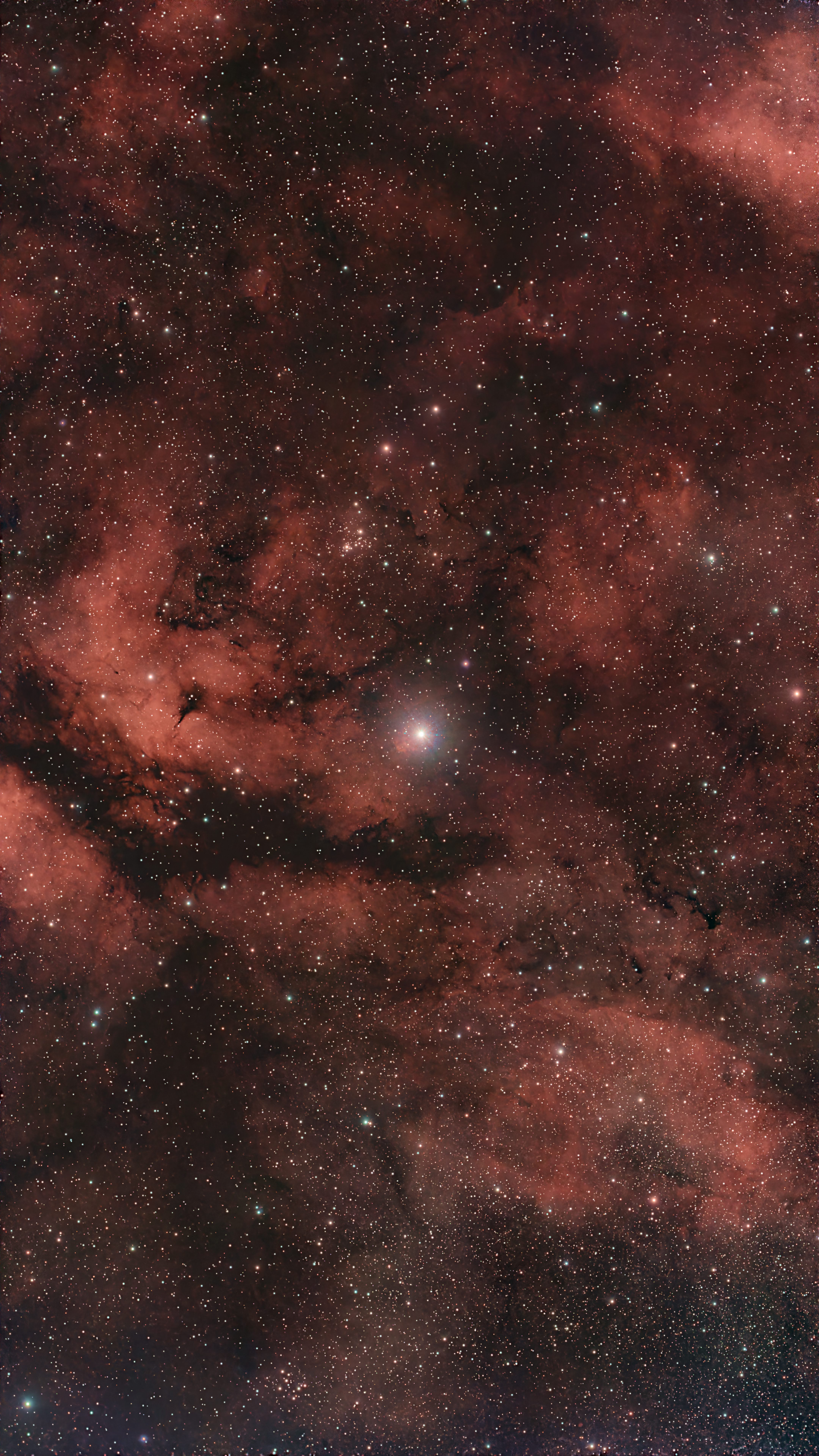 IC 1318 (Gamma Cygni Nebula)