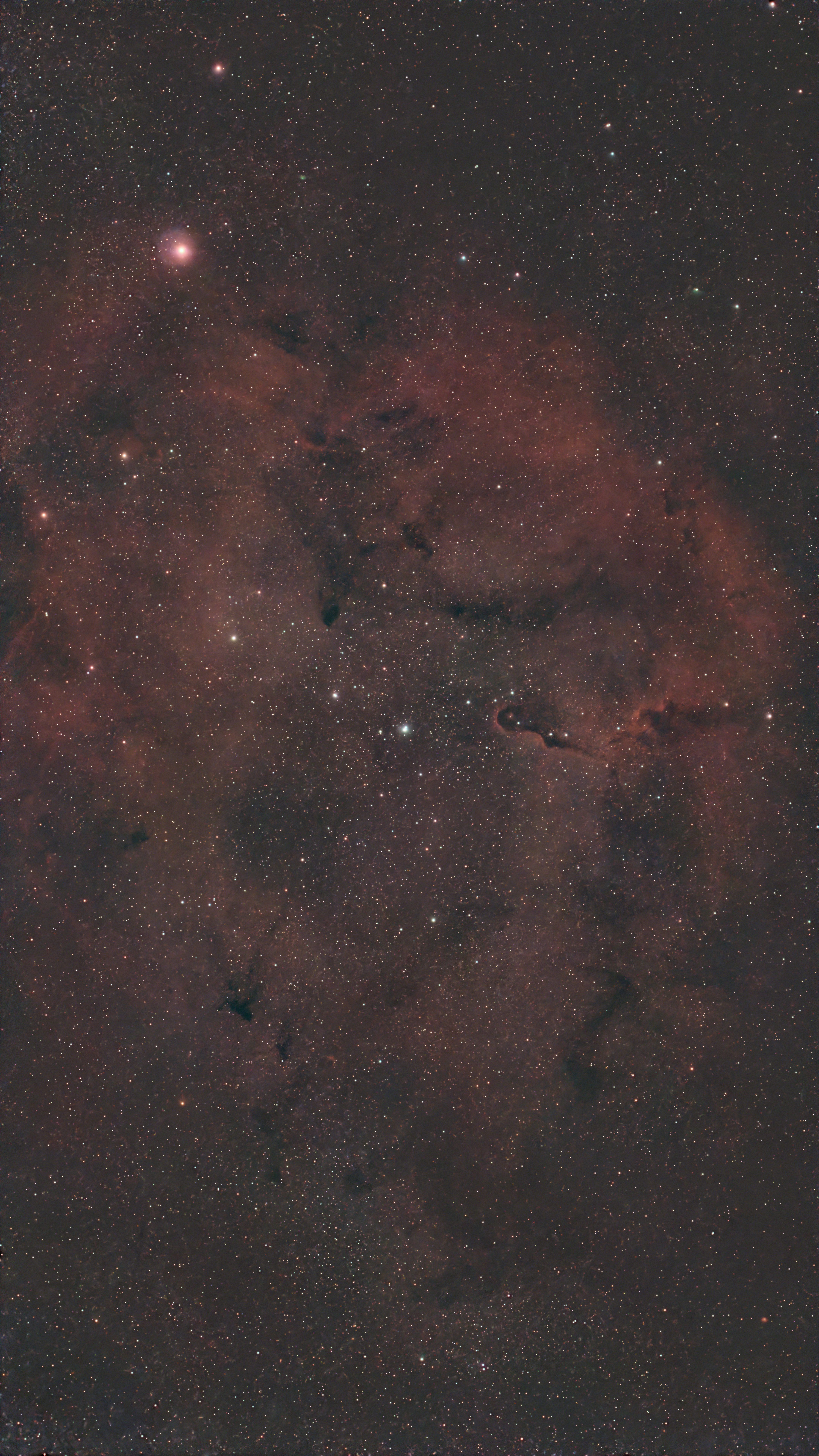IC1396