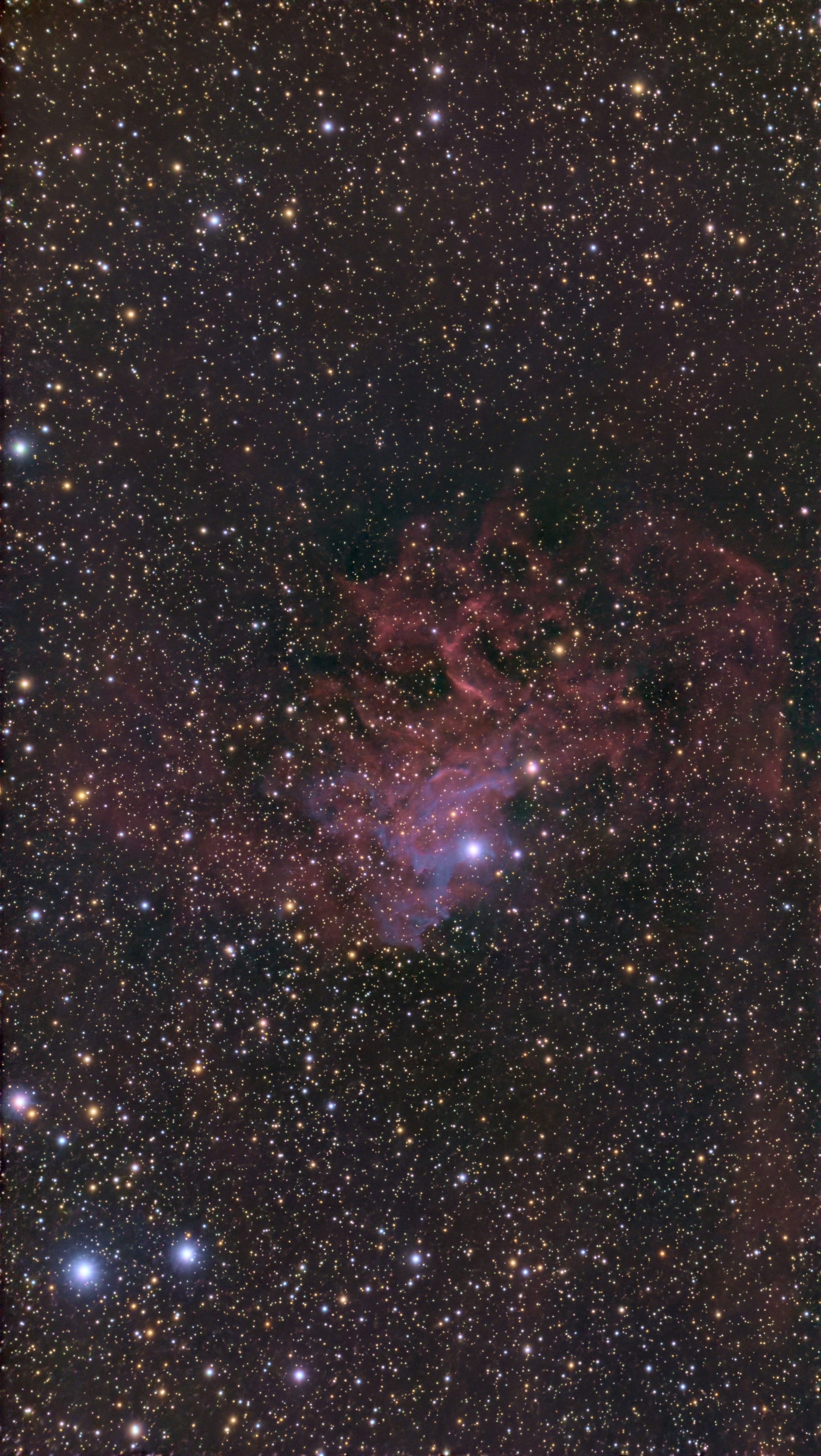 IC 405 (Flaming Star Nebula)