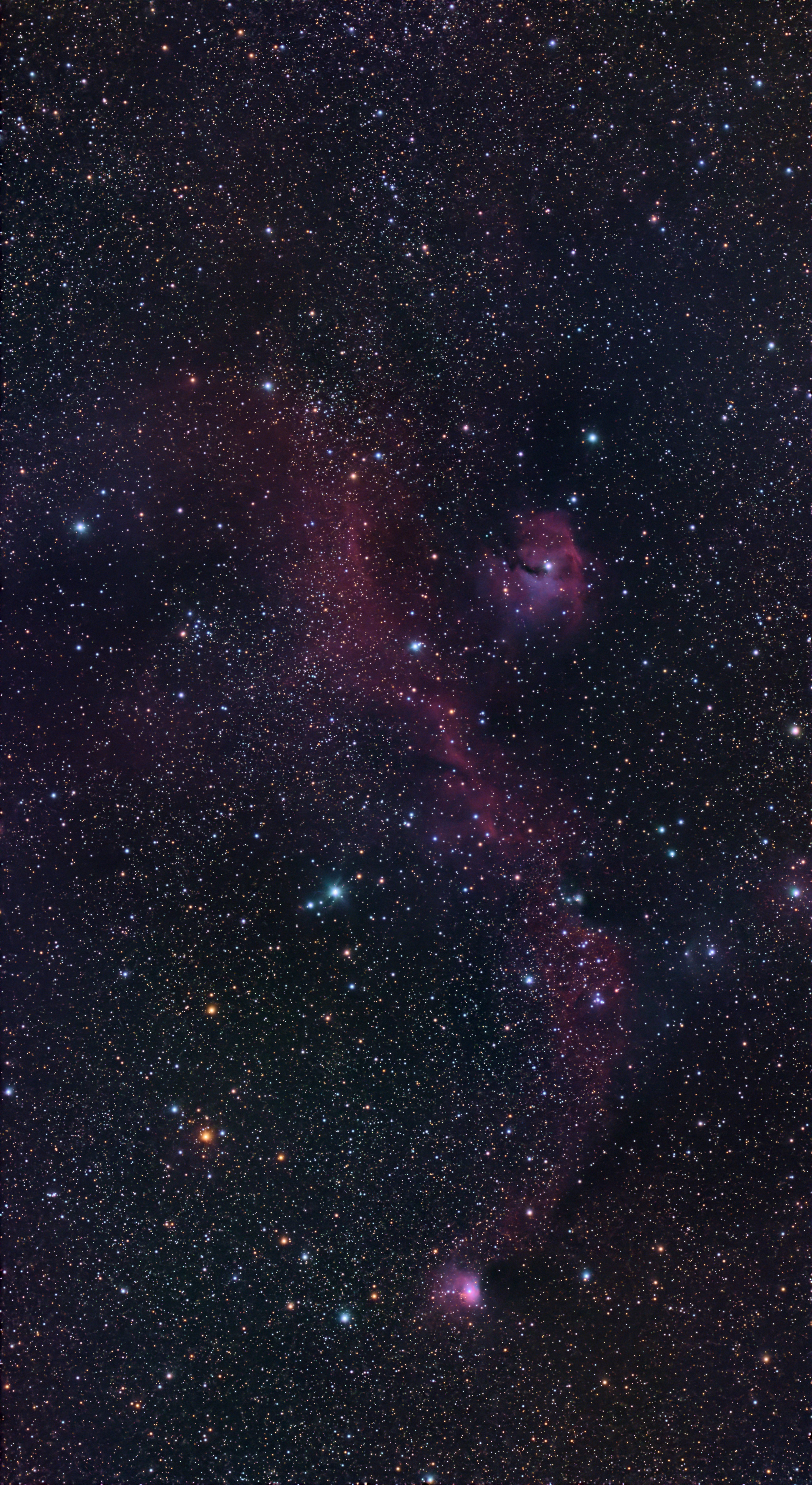 IC 2177 / NGC 2335 (Seagull Nebula)