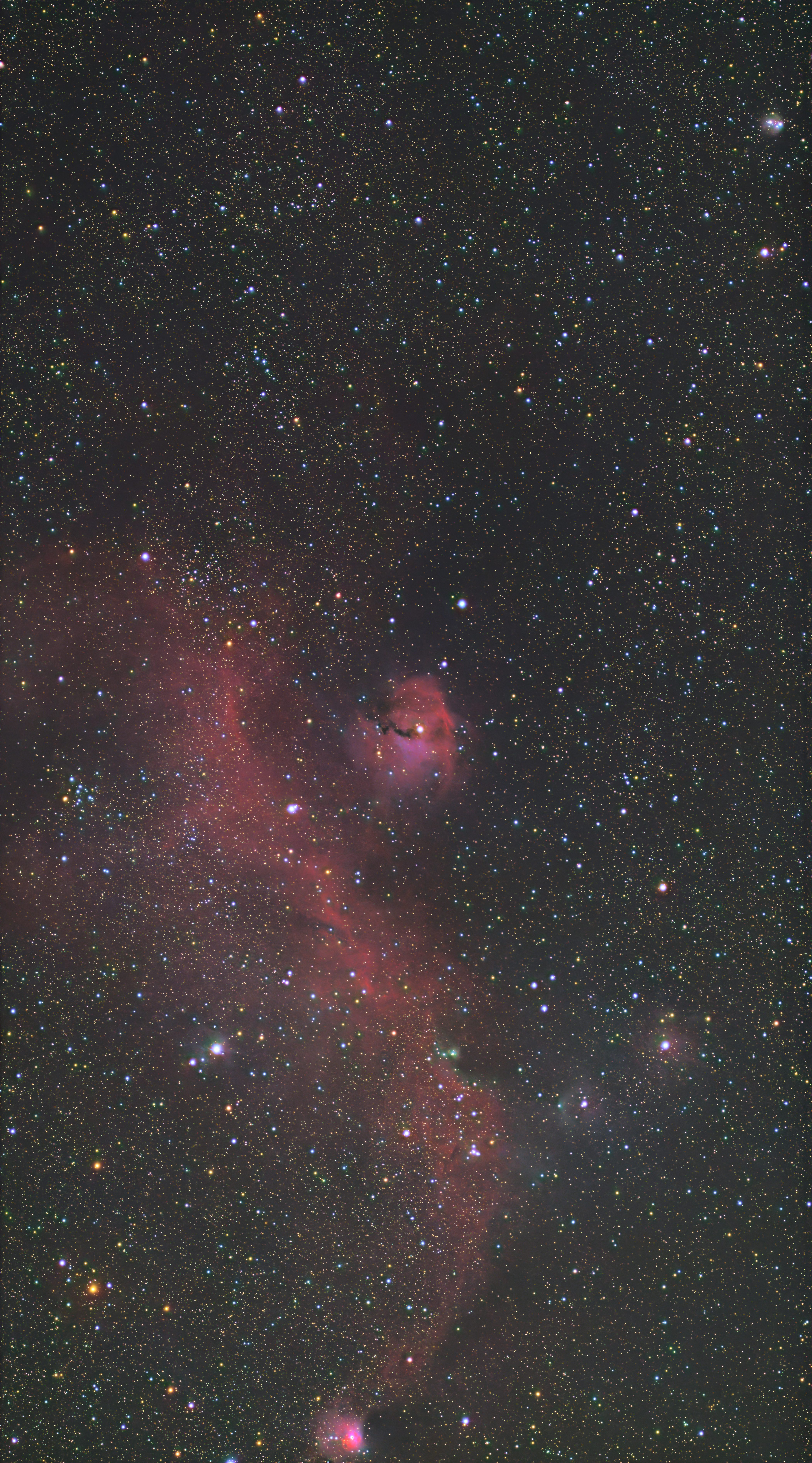 IC 2177 / NGC 2335 (Seagull Nebula)