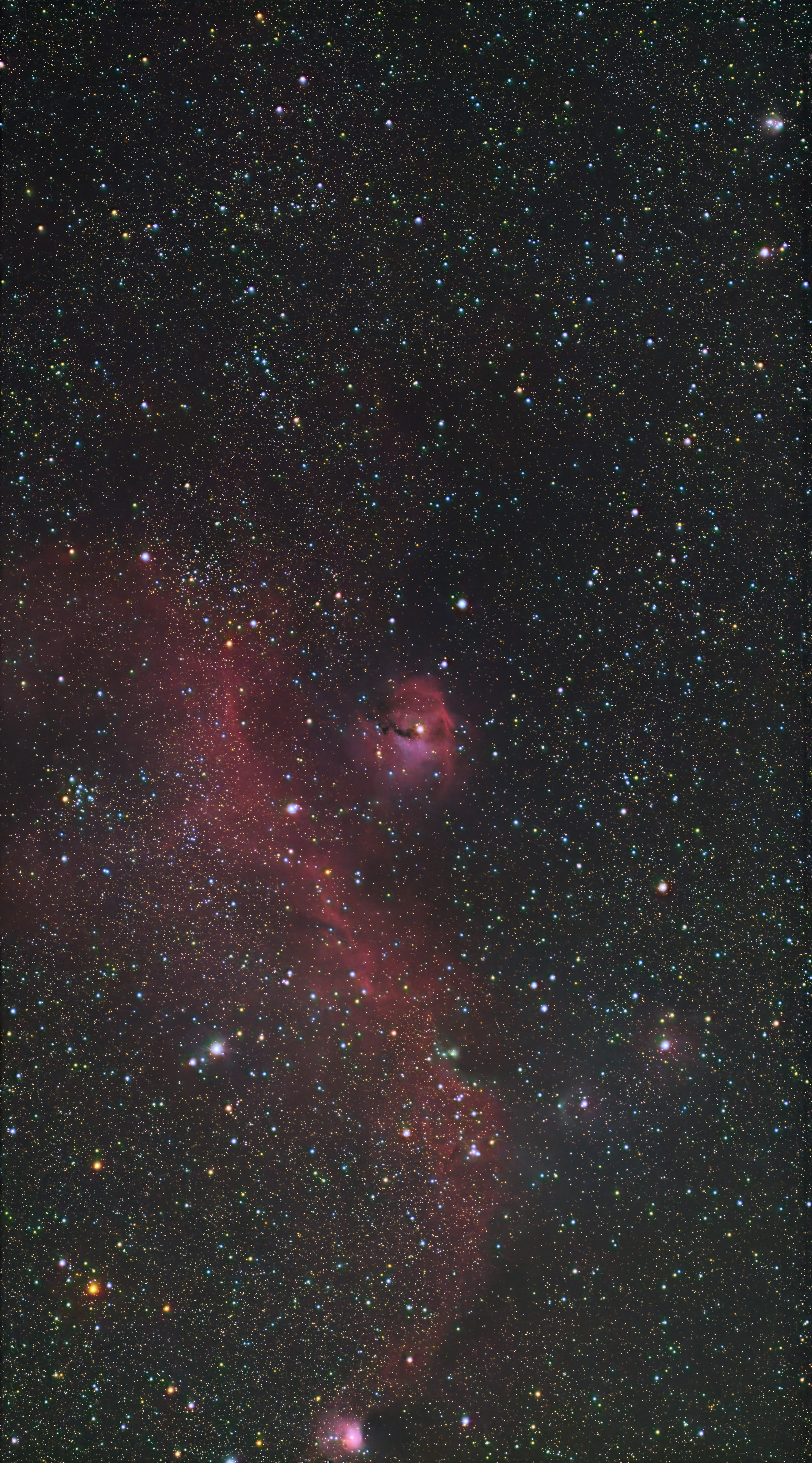IC 2177 / NGC 2335 (Seagull Nebula)
