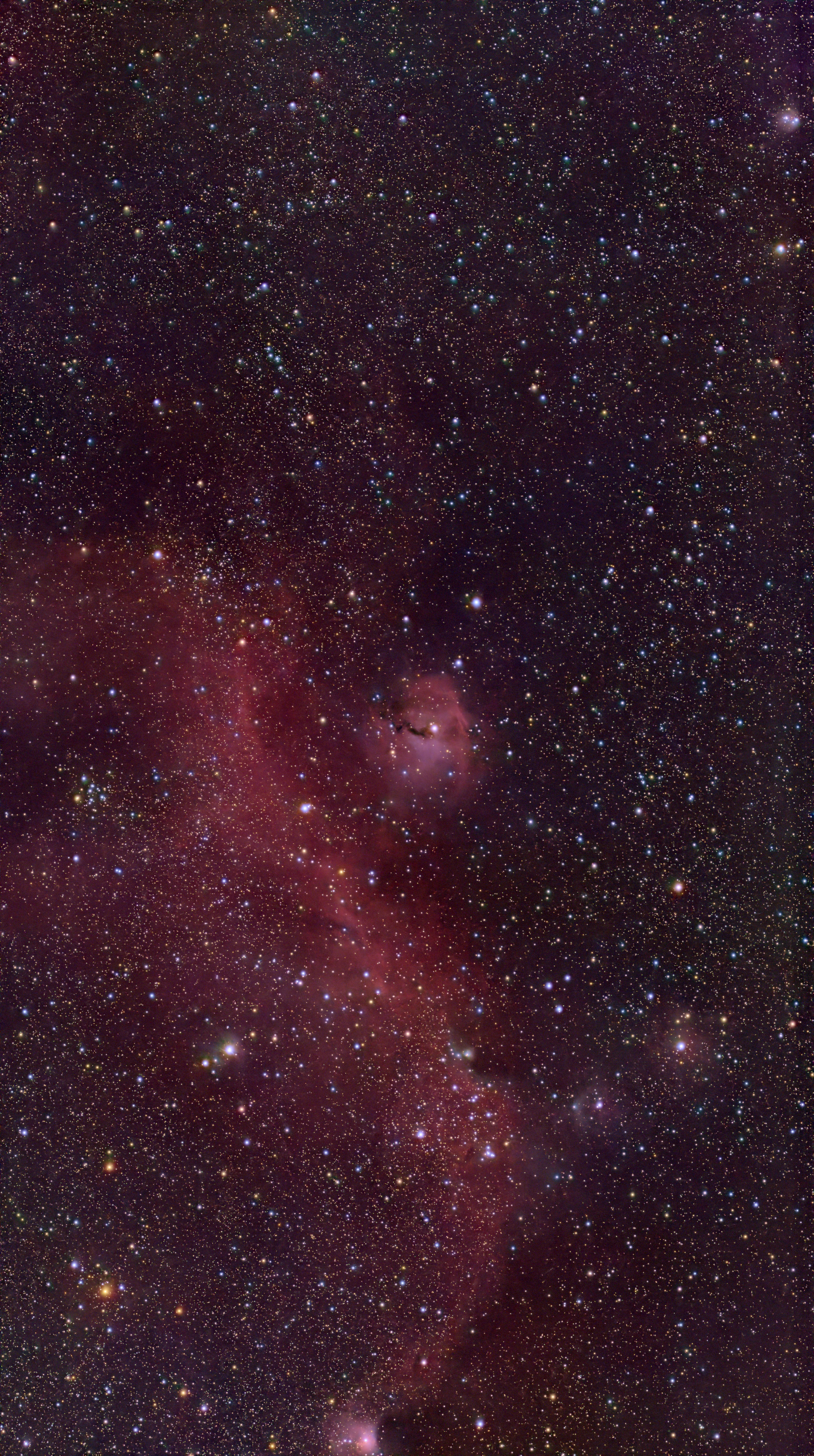 IC 2177 / NGC 2335 (Seagull Nebula)