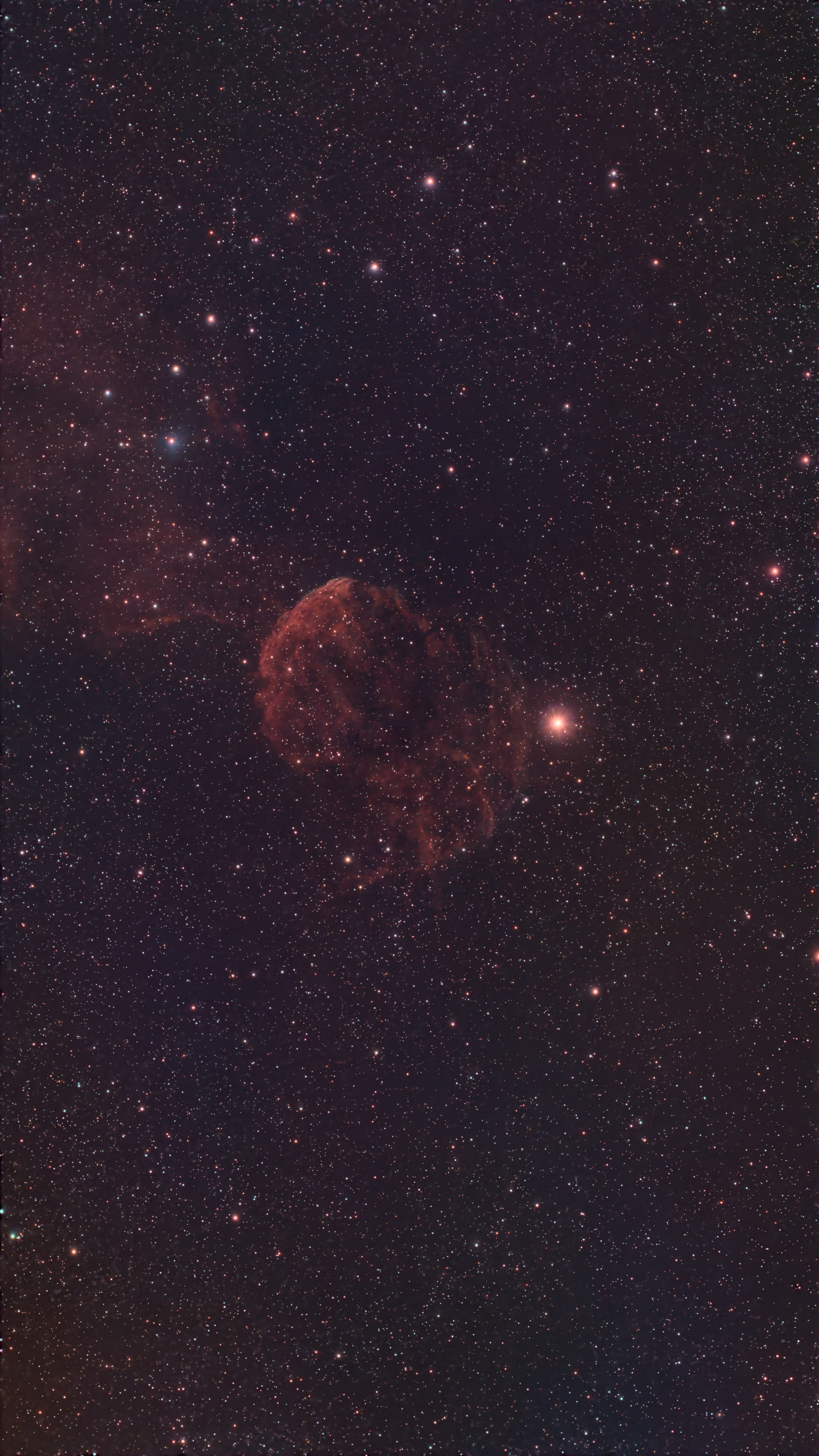 IC 443 (Jellyfish Nebula)