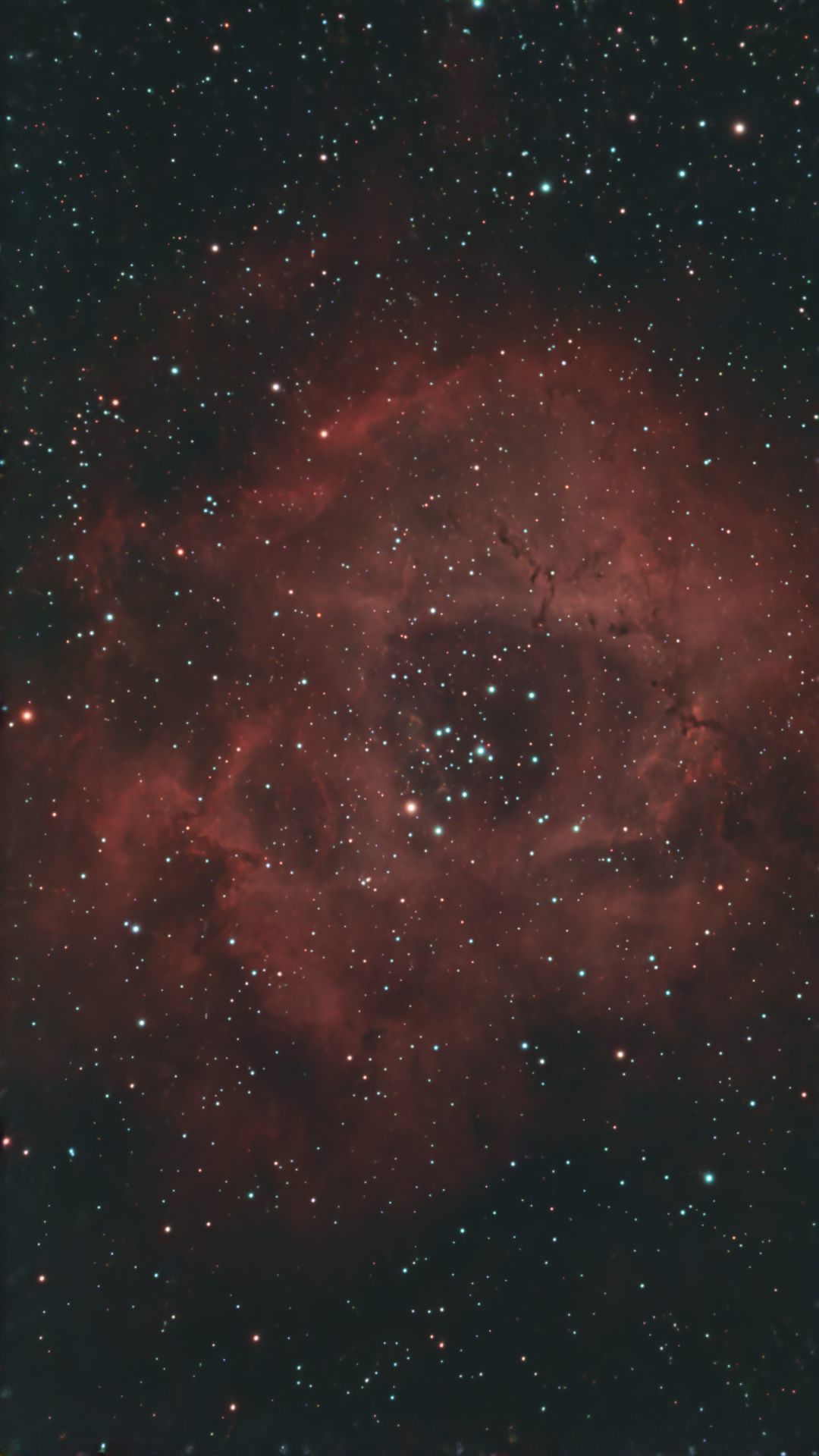 NGC 2244 (Rosette Nebula)