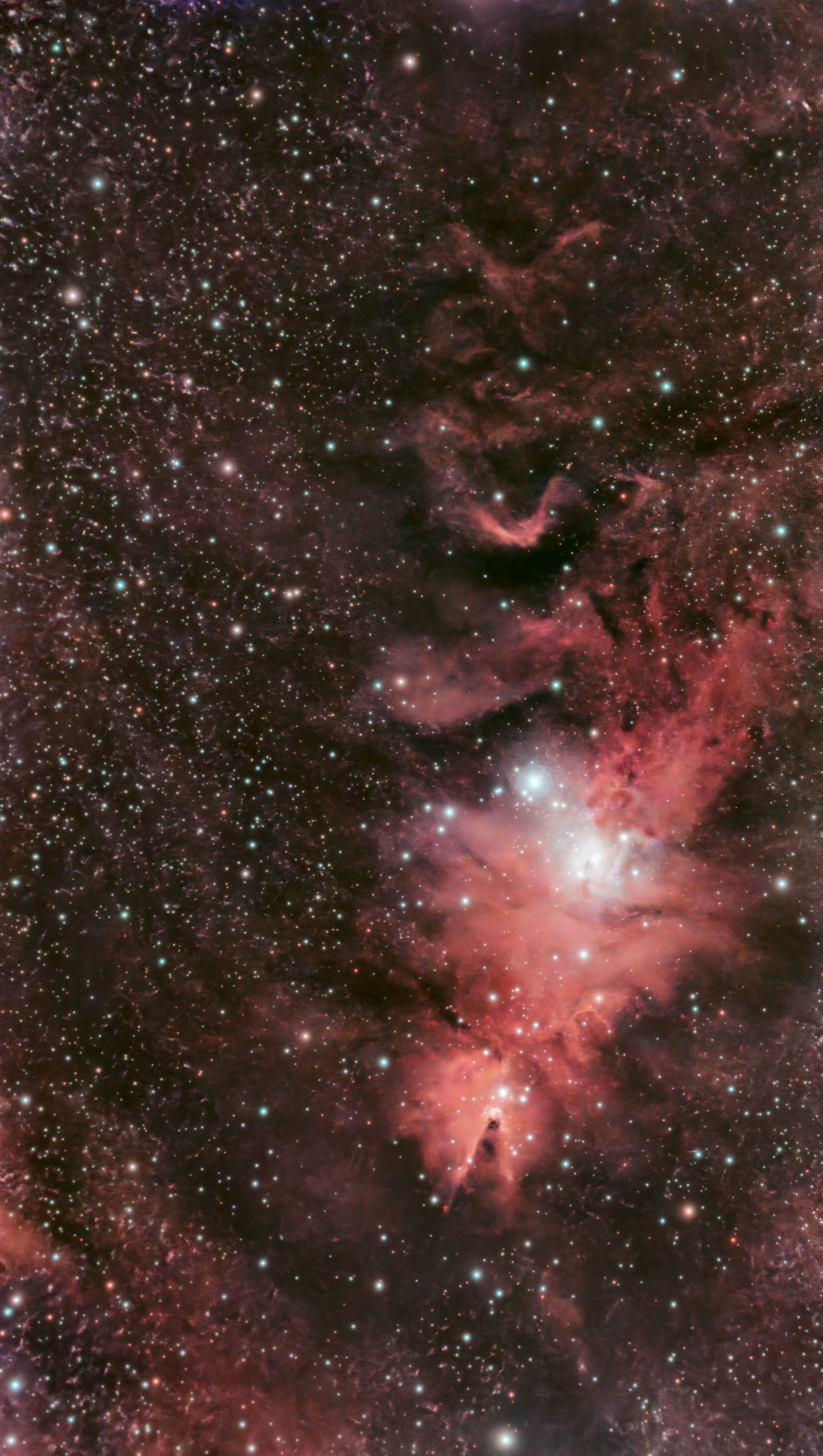 NGC 2264 (Christmas Tree Cluster)