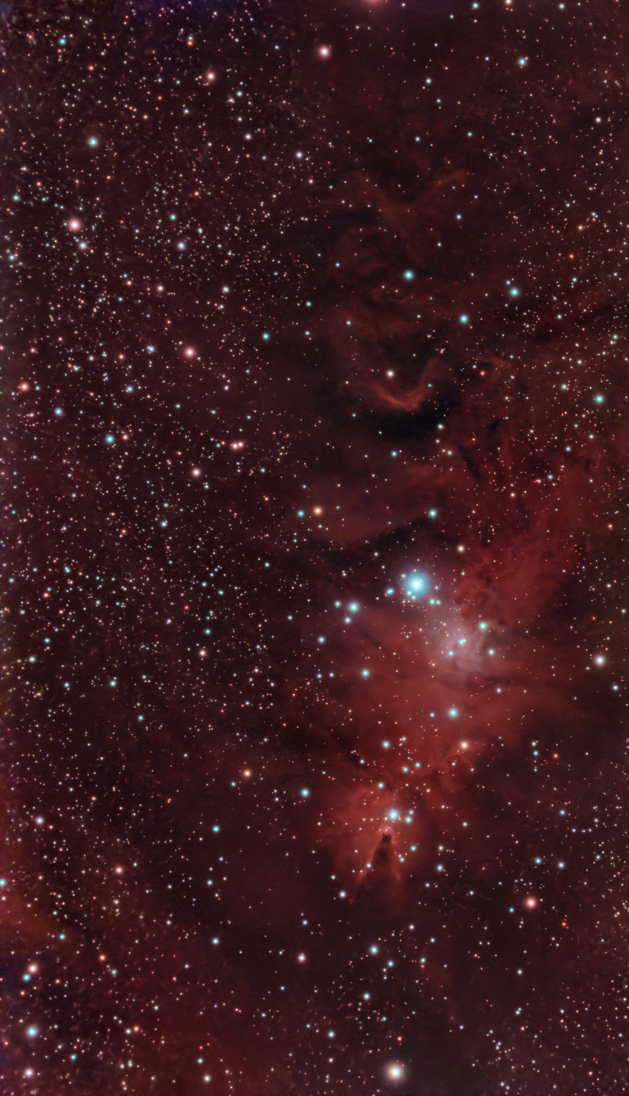 NGC 2264 (Christmas Tree Cluster)