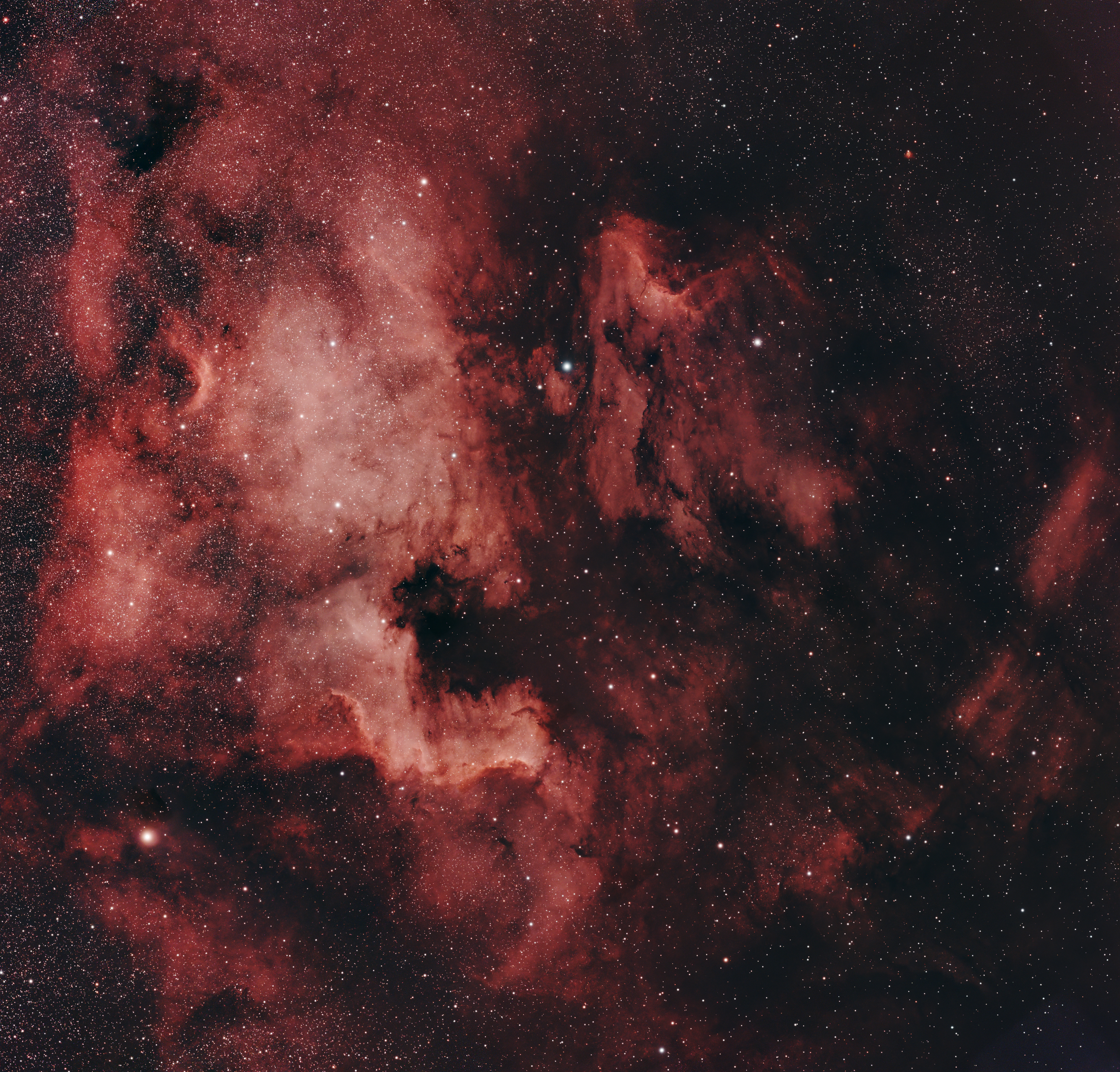 NGC 7000