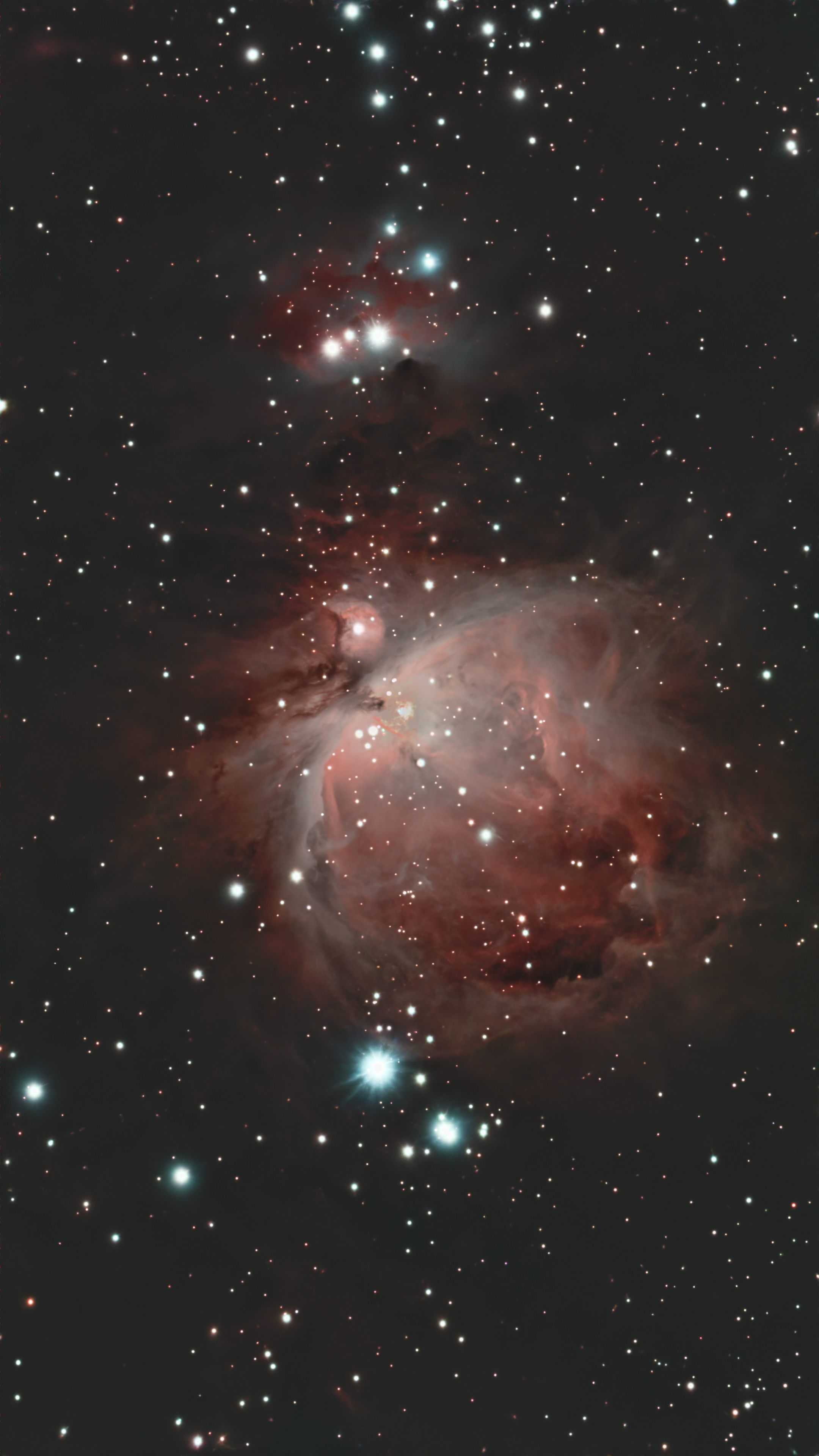M42 (Orion Nebula)