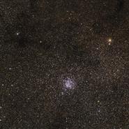 M11