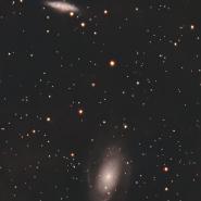 M81 (Bode's Galaxy)