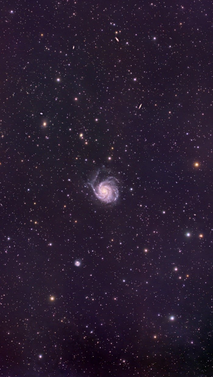 M101