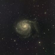 M101