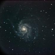 M101