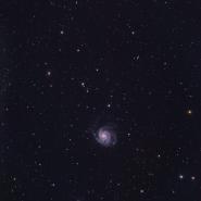 M101