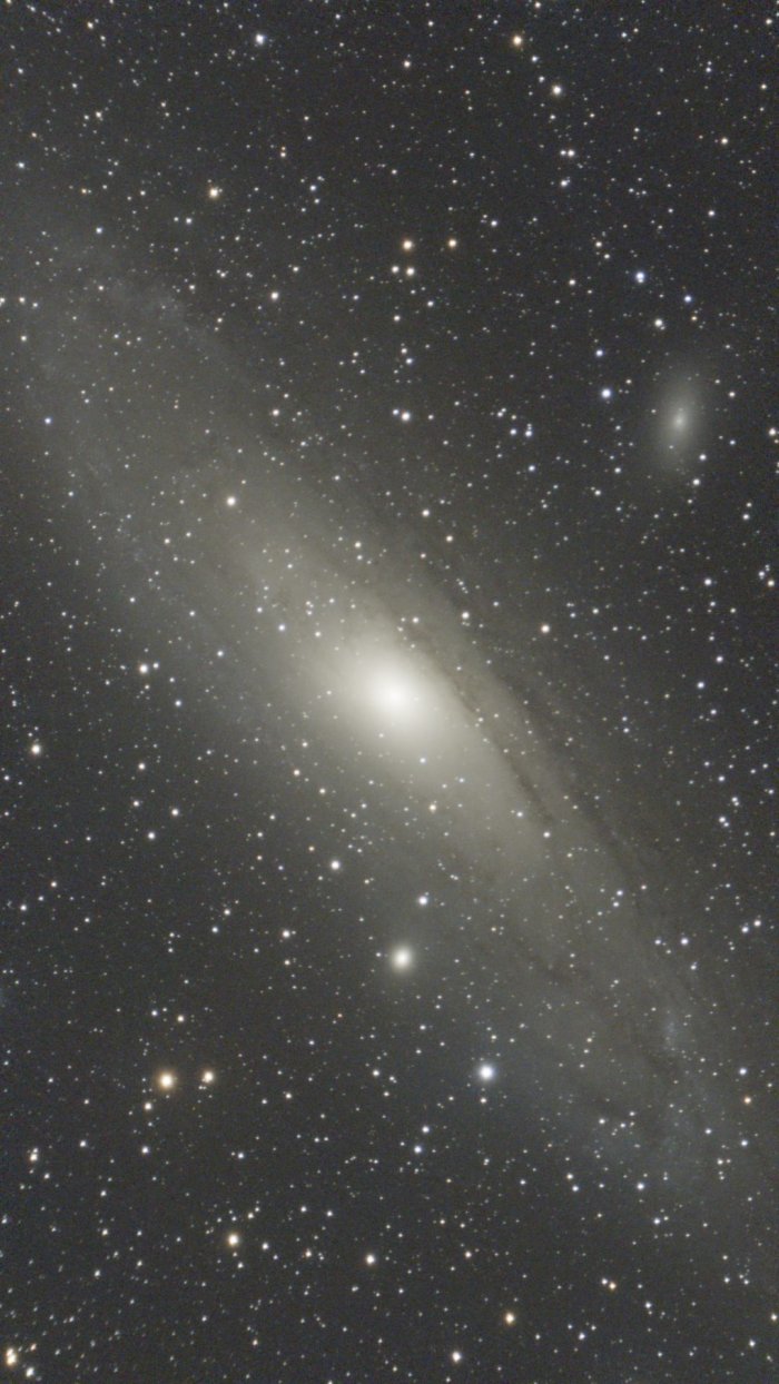 M31