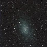 M33