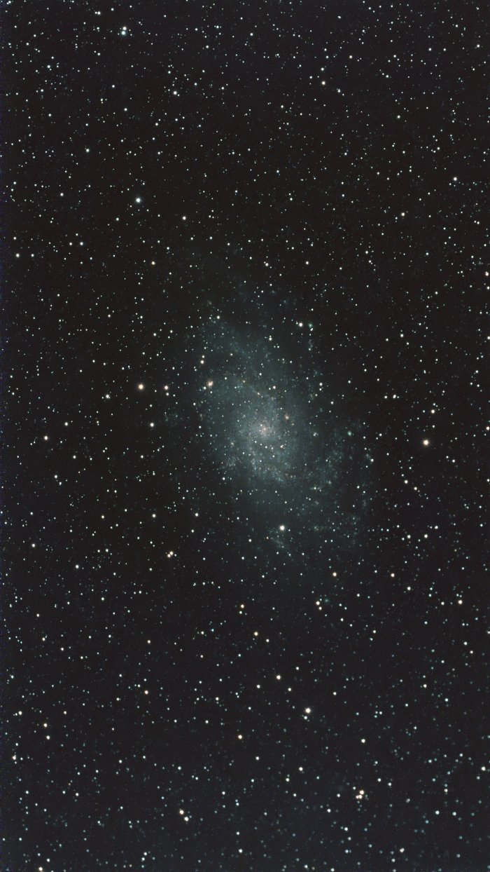M33