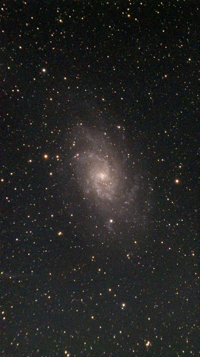 M 33