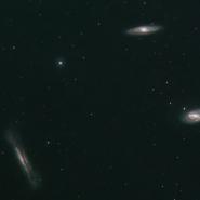 Leo Triplet cropped