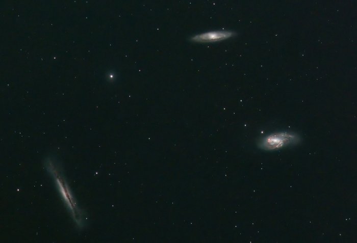 Leo Triplet cropped