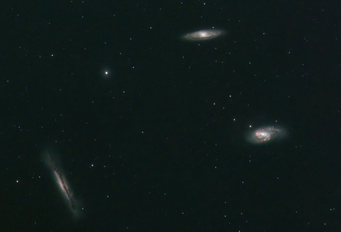 Leo Triplet cropped