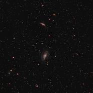 M82 (Cigar Galaxy)