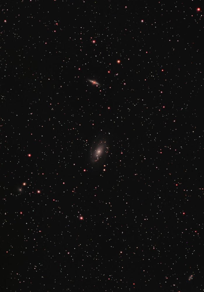 M82 (Cigar Galaxy)
