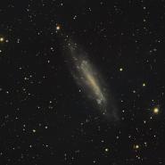 NGC 4236