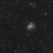 NGC 6946 (Fireworks Galaxy)