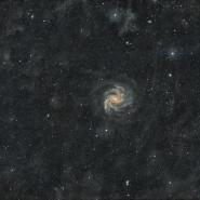 NGC 6946 (Fireworks Galaxy)