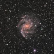 NGC 6946 (Fireworks Galaxy)
