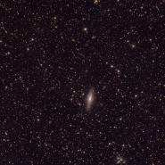 NGC 7331